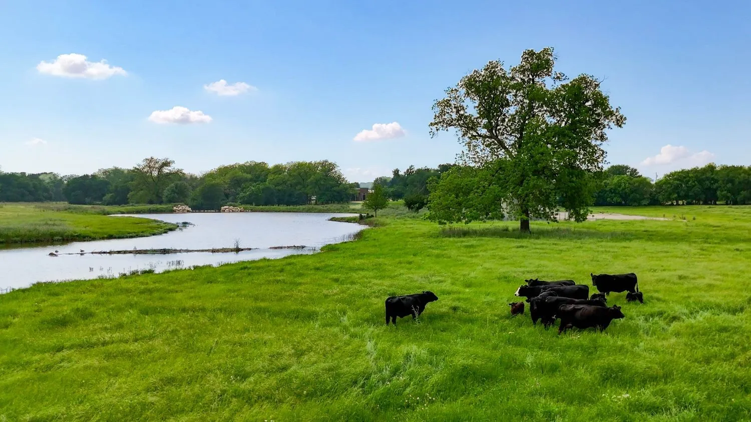 Ranch For Sale in Denton County , 1300 Strader Road, Northlake, Texas 76247, 0, 0, Garage spaces, 0 Sqft, built in 2004, mls#21263740, Real Estate Agent in Northlake, Homes For Sale in Denton county, Homes For Sale in Northlake, Realtor in Northlake Texas, Real Estate Brokerage Independent Realty Texas, Luminita Cordes Realtor