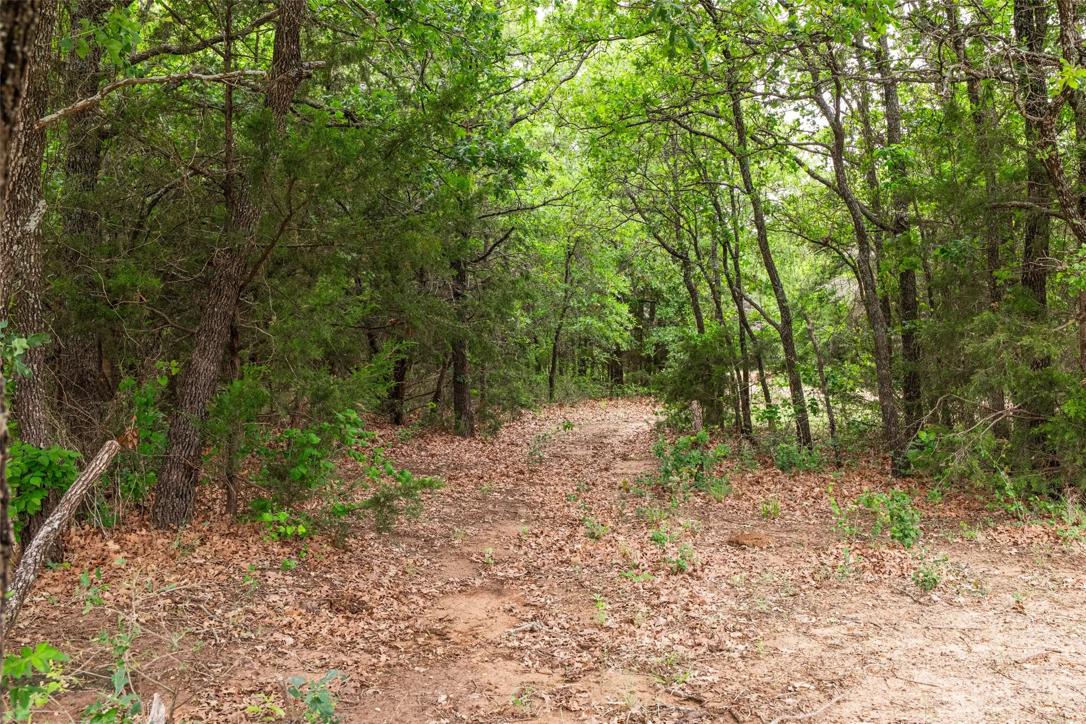 Single Family Residence For Sale in Navarro County , 5531 NE County Road 3130, Kerens, Texas 75144, 7 Bedroom, 4 Bathroom, 2 Garage spaces, 3,540 Sqft, built in 2010, mls#21264765, Real Estate Agent in Kerens, Homes For Sale in Navarro county, Homes For Sale in Kerens, Realtor in Kerens Texas, Real Estate Brokerage Independent Realty Texas, Luminita Cordes Realtor