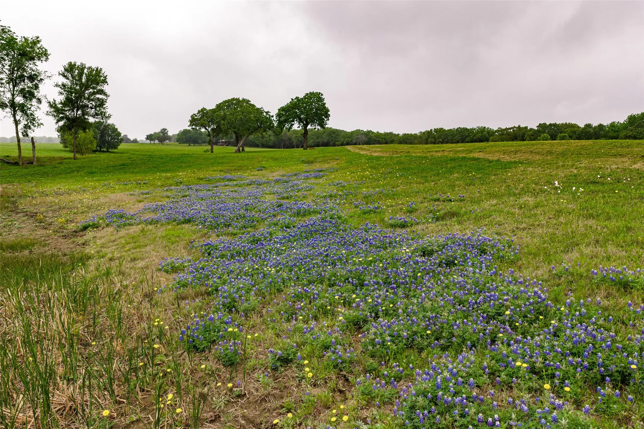 Single Family Residence For Sale in Navarro County , 5531 NE County Road 3130, Kerens, Texas 75144, 7 Bedroom, 4 Bathroom, 2 Garage spaces, 3,540 Sqft, built in 2010, mls#21264765, Real Estate Agent in Kerens, Homes For Sale in Navarro county, Homes For Sale in Kerens, Realtor in Kerens Texas, Real Estate Brokerage Independent Realty Texas, Luminita Cordes Realtor