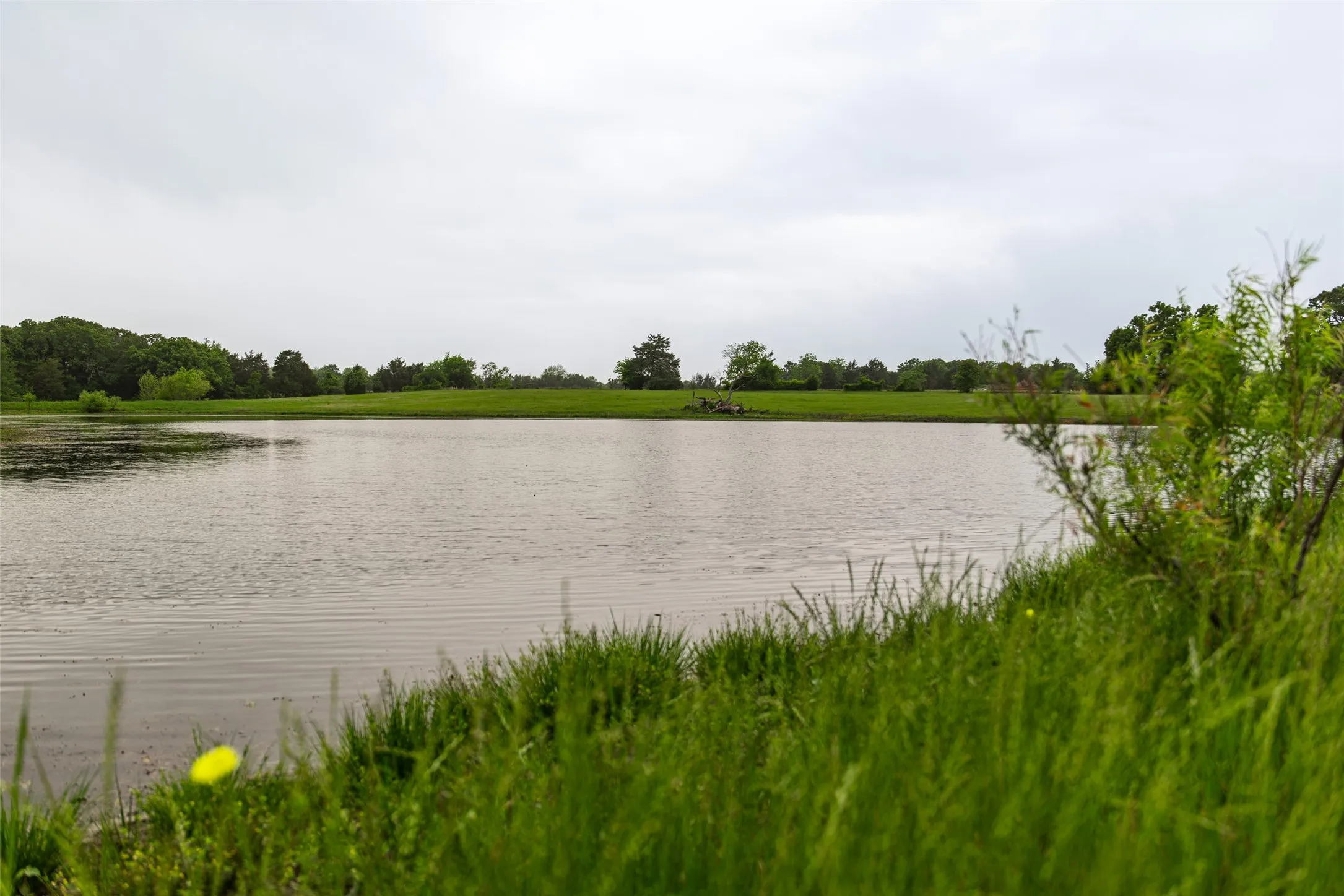 Single Family Residence For Sale in Navarro County , 5531 NE County Road 3130, Kerens, Texas 75144, 7 Bedroom, 4 Bathroom, 2 Garage spaces, 3,540 Sqft, built in 2010, mls#21264765, Real Estate Agent in Kerens, Homes For Sale in Navarro county, Homes For Sale in Kerens, Realtor in Kerens Texas, Real Estate Brokerage Independent Realty Texas, Luminita Cordes Realtor
