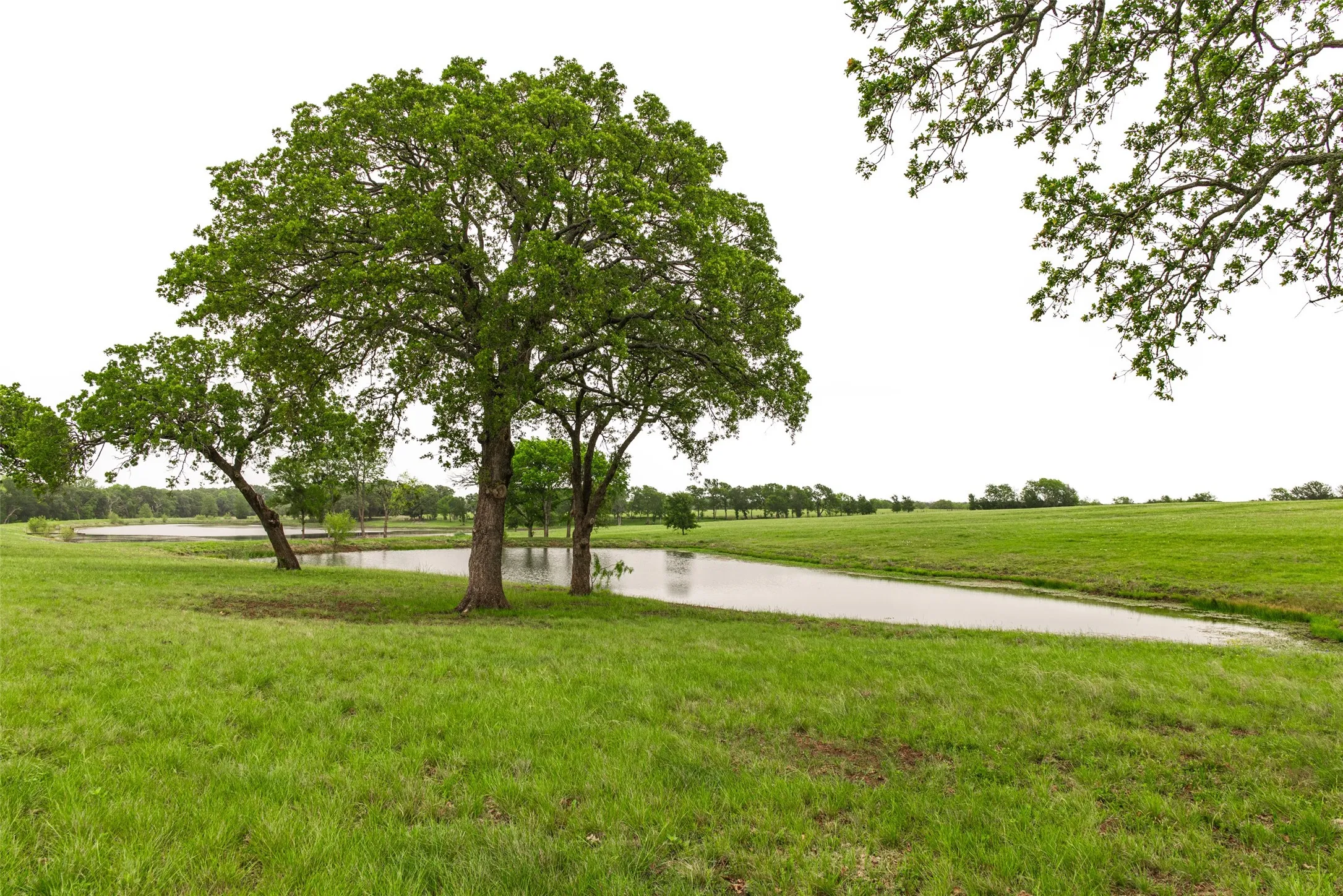 Single Family Residence For Sale in Navarro County , 5531 NE County Road 3130, Kerens, Texas 75144, 7 Bedroom, 4 Bathroom, 2 Garage spaces, 3,540 Sqft, built in 2010, mls#21264765, Real Estate Agent in Kerens, Homes For Sale in Navarro county, Homes For Sale in Kerens, Realtor in Kerens Texas, Real Estate Brokerage Independent Realty Texas, Luminita Cordes Realtor