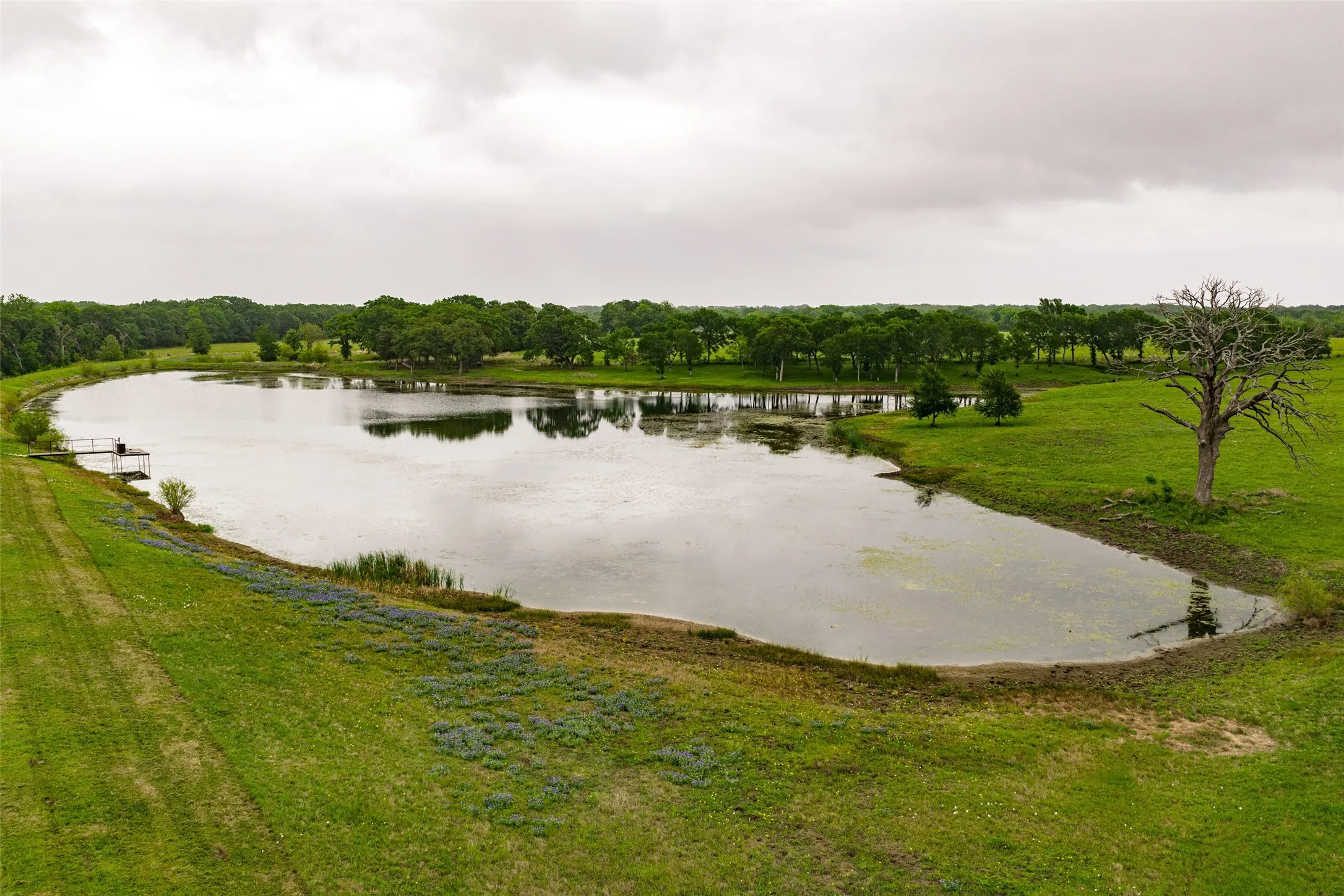 Single Family Residence For Sale in Navarro County , 5531 NE County Road 3130, Kerens, Texas 75144, 7 Bedroom, 4 Bathroom, 2 Garage spaces, 3,540 Sqft, built in 2010, mls#21264765, Real Estate Agent in Kerens, Homes For Sale in Navarro county, Homes For Sale in Kerens, Realtor in Kerens Texas, Real Estate Brokerage Independent Realty Texas, Luminita Cordes Realtor