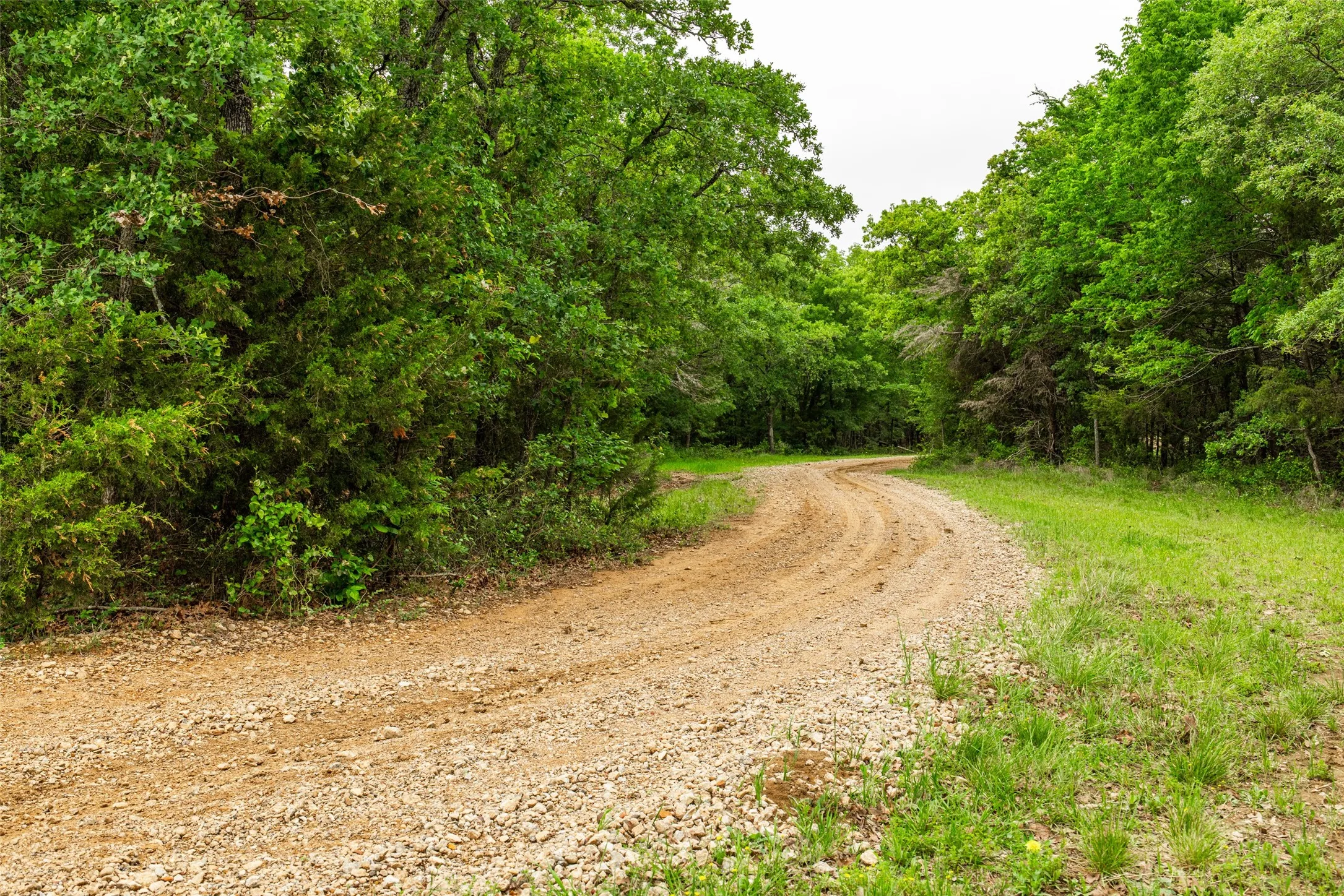 Single Family Residence For Sale in Navarro County , 5531 NE County Road 3130, Kerens, Texas 75144, 7 Bedroom, 4 Bathroom, 2 Garage spaces, 3,540 Sqft, built in 2010, mls#21264765, Real Estate Agent in Kerens, Homes For Sale in Navarro county, Homes For Sale in Kerens, Realtor in Kerens Texas, Real Estate Brokerage Independent Realty Texas, Luminita Cordes Realtor