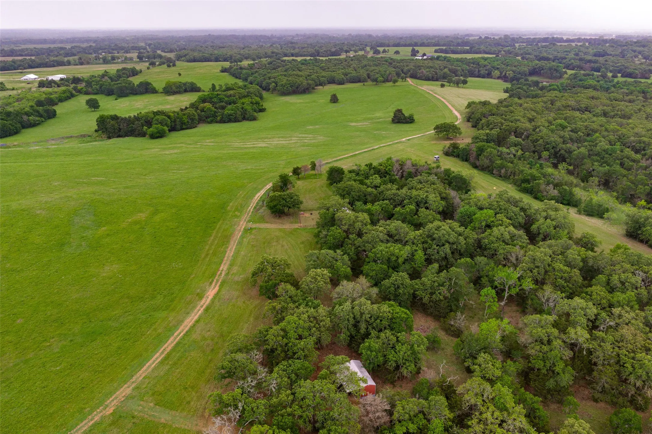Single Family Residence For Sale in Navarro County , 5531 NE County Road 3130, Kerens, Texas 75144, 7 Bedroom, 4 Bathroom, 2 Garage spaces, 3,540 Sqft, built in 2010, mls#21264765, Real Estate Agent in Kerens, Homes For Sale in Navarro county, Homes For Sale in Kerens, Realtor in Kerens Texas, Real Estate Brokerage Independent Realty Texas, Luminita Cordes Realtor