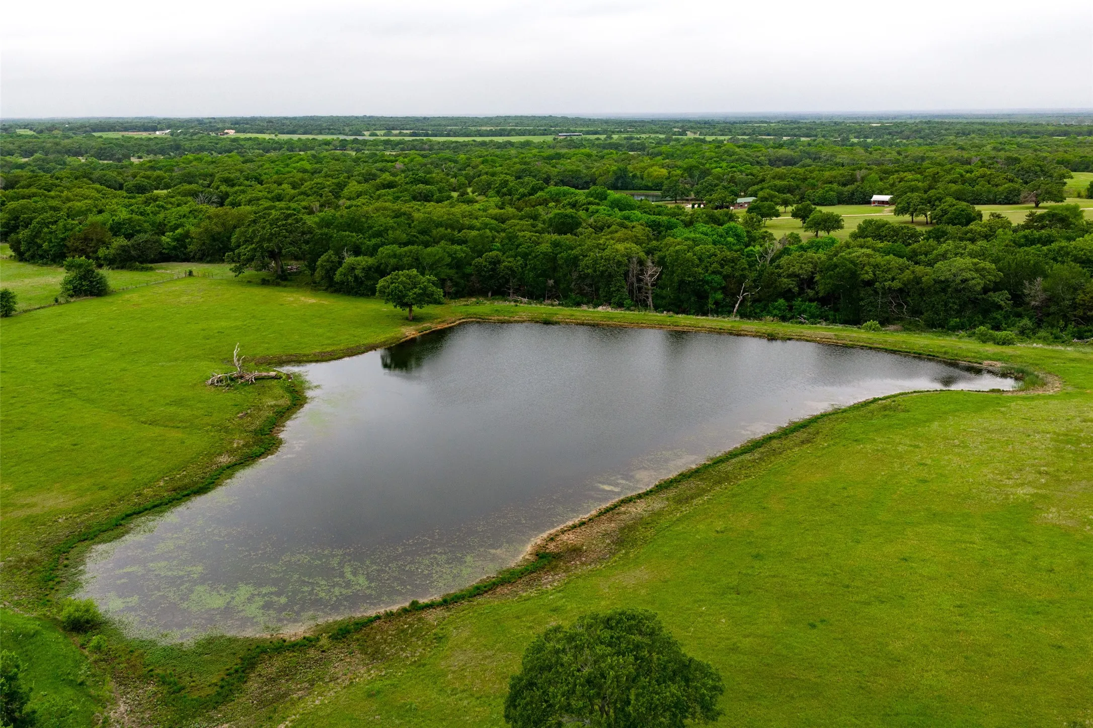 Single Family Residence For Sale in Navarro County , 5531 NE County Road 3130, Kerens, Texas 75144, 7 Bedroom, 4 Bathroom, 2 Garage spaces, 3,540 Sqft, built in 2010, mls#21264765, Real Estate Agent in Kerens, Homes For Sale in Navarro county, Homes For Sale in Kerens, Realtor in Kerens Texas, Real Estate Brokerage Independent Realty Texas, Luminita Cordes Realtor