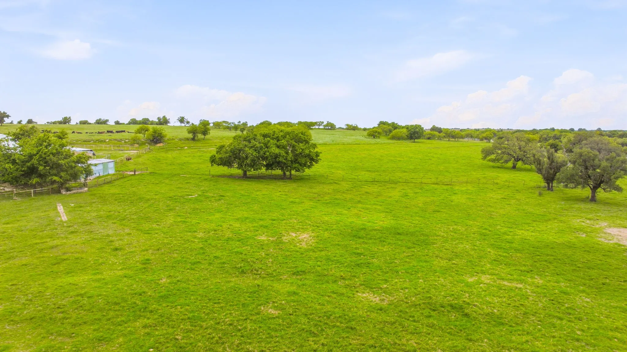 Expansive green pastureland with scattered mature trees
