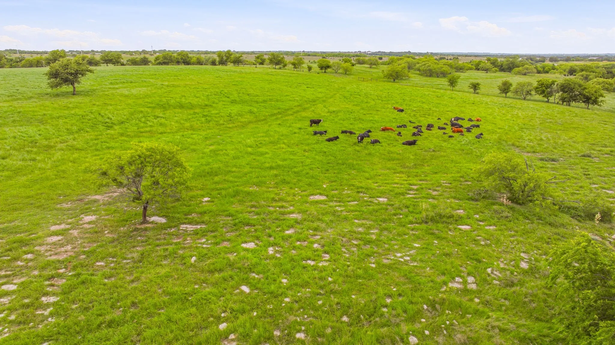 Expansive green pasture with scattered trees, offering open grazing land