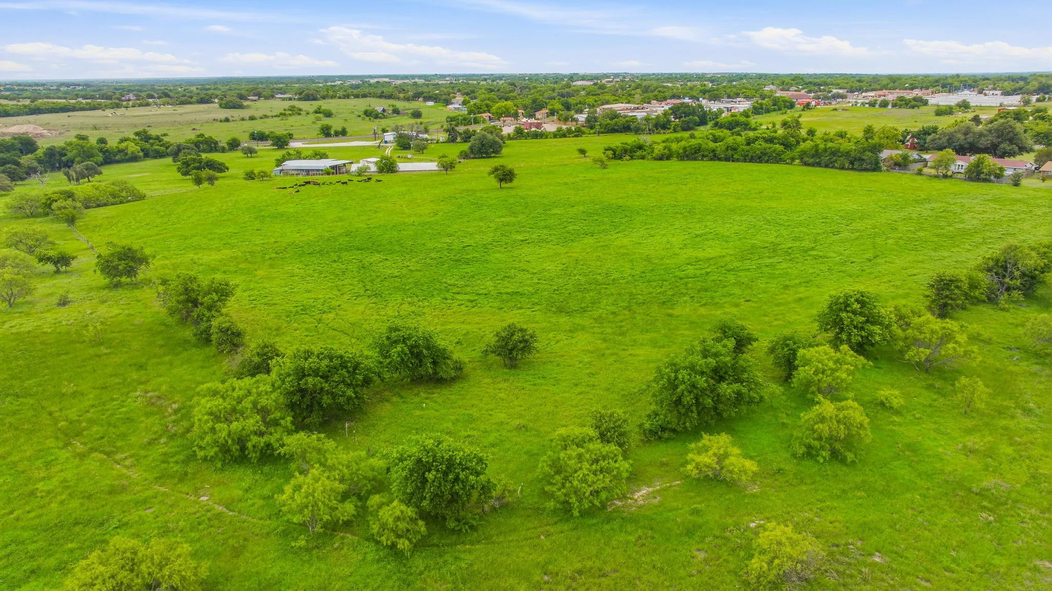Expansive green acreage with scattered mature trees and distant structures