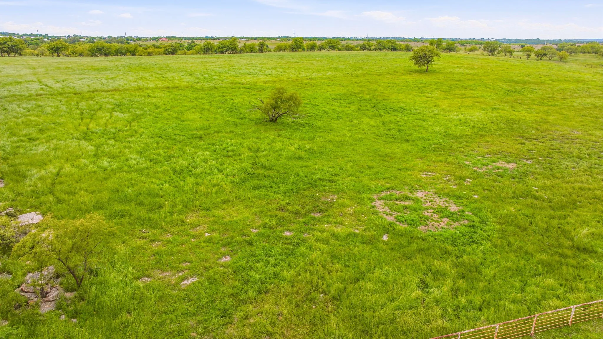 Expansive green field with natural ground cover