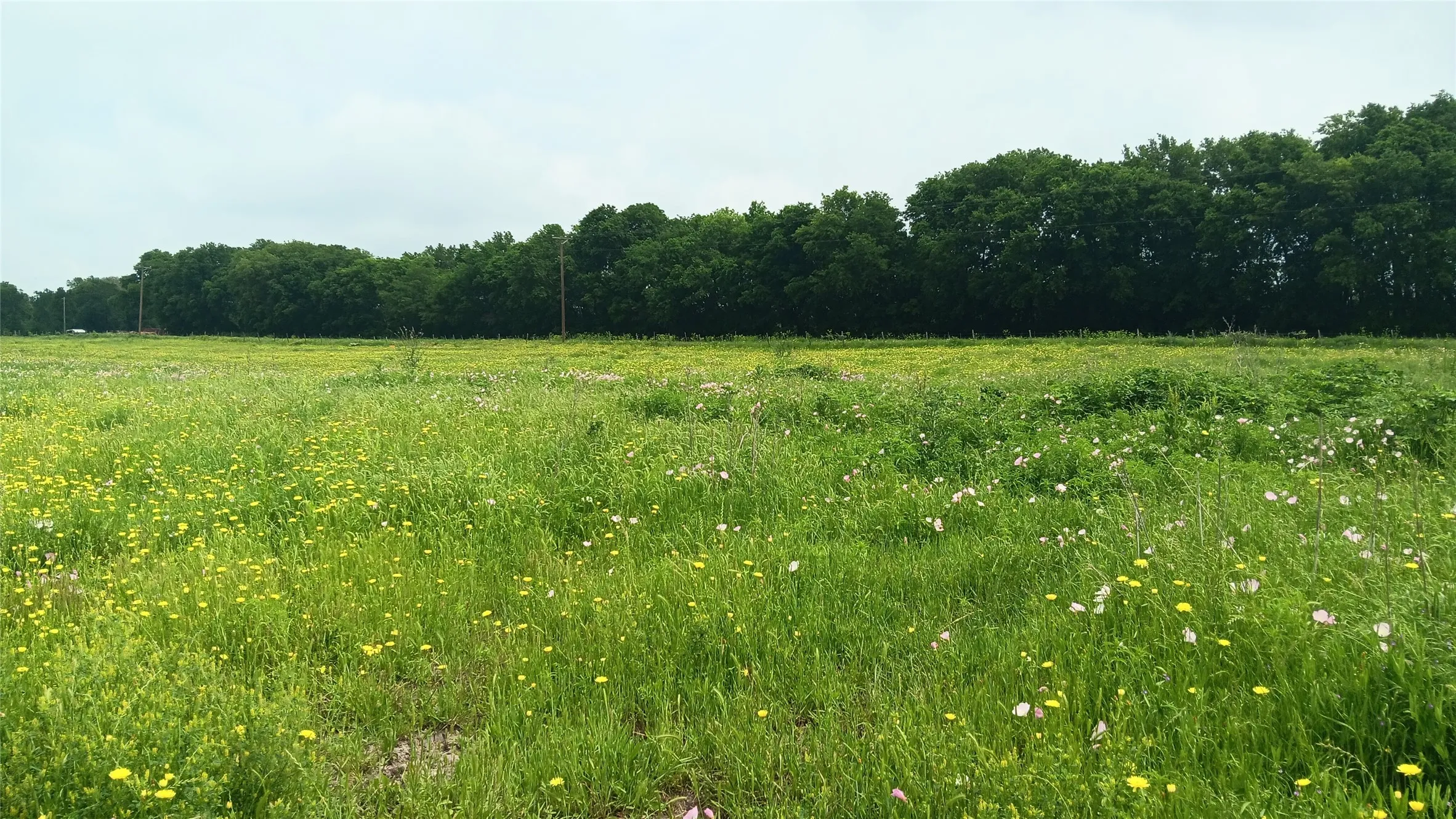Unimproved Land For Sale in Falls County , TBD CR494N, Chilton, Texas 76632, 0, 0, Garage spaces, 0 Sqft, built in 0, Price $236,550, mls#21264887, Real Estate Agent in Chilton, Homes For Sale in Falls county, Homes For Sale in Chilton, Realtor in Chilton Texas, Real Estate Brokerage Independent Realty Texas, Luminita Cordes Realtor