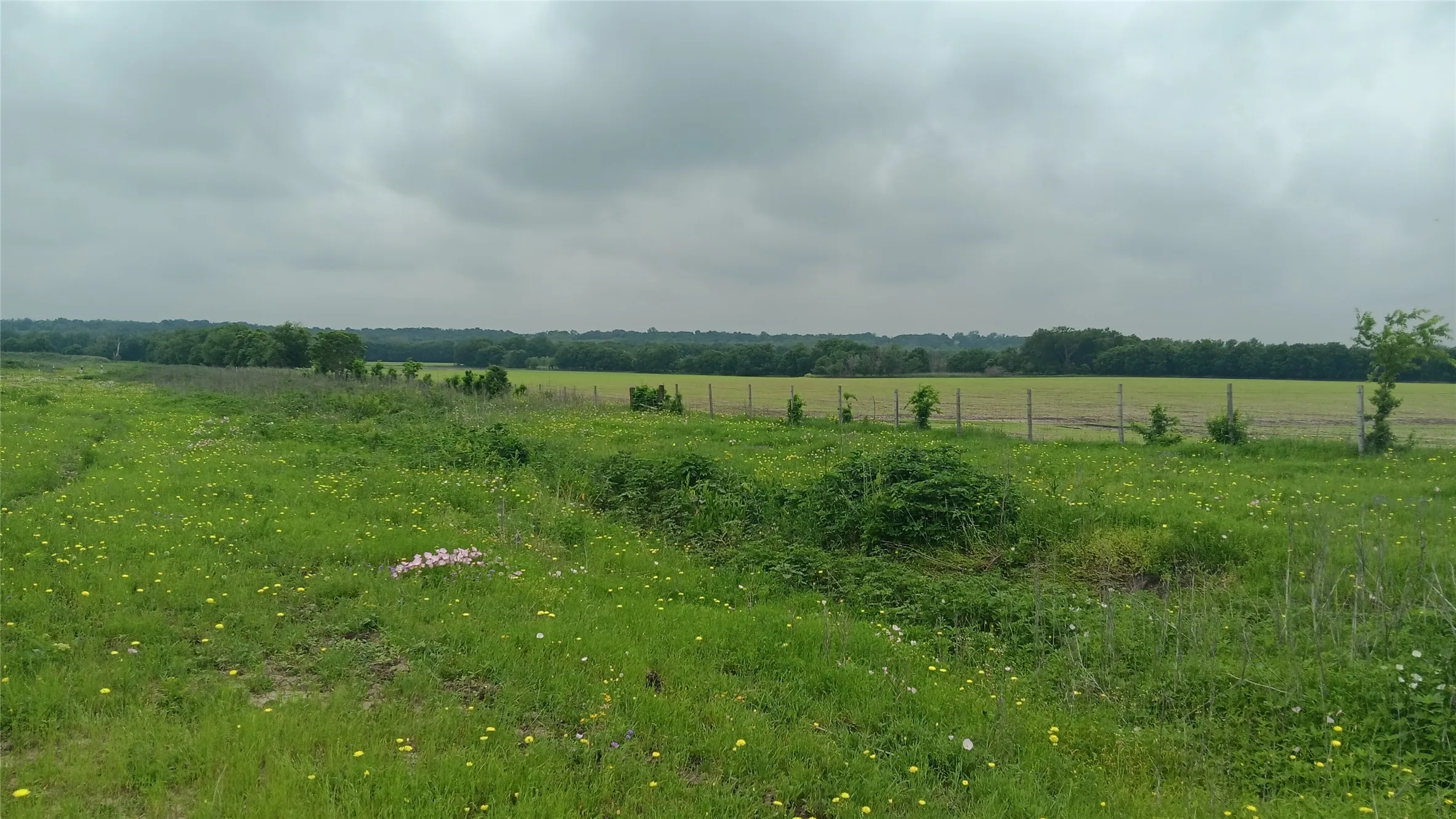 Unimproved Land For Sale in Falls County , TBD CR494N, Chilton, Texas 76632, 0, 0, Garage spaces, 0 Sqft, built in 0, Price $236,550, mls#21264887, Real Estate Agent in Chilton, Homes For Sale in Falls county, Homes For Sale in Chilton, Realtor in Chilton Texas, Real Estate Brokerage Independent Realty Texas, Luminita Cordes Realtor