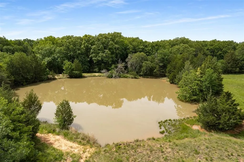 Single Family Residence For Sale in Fannin County , 6111 County Road 2610, Bonham, Texas 75418, 3 Bedroom, 2 Bathroom, Garage spaces, 1,096 Sqft, built in 1970, Price $599,990, mls#21264950, Real Estate Agent in Bonham, Homes For Sale in Fannin county, Homes For Sale in Bonham, Realtor in Bonham Texas, Real Estate Brokerage Independent Realty Texas, Luminita Cordes Realtor