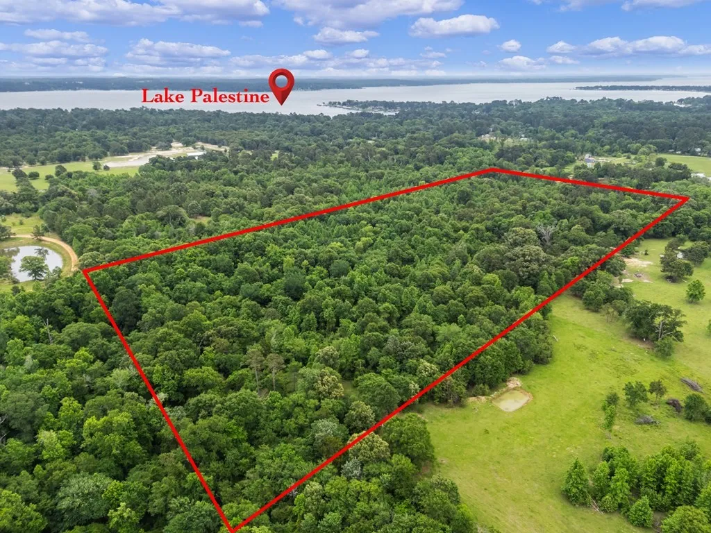 Unimproved Land For Sale in Henderson County , 00 County Road 3105, Chandler, Texas 75758, 0, 0, Garage spaces, 0 Sqft, built in 0, Price $289,000, mls#21261723, Real Estate Agent in Chandler, Homes For Sale in Henderson county, Homes For Sale in Chandler, Realtor in Chandler Texas, Real Estate Brokerage Independent Realty Texas, Luminita Cordes Realtor