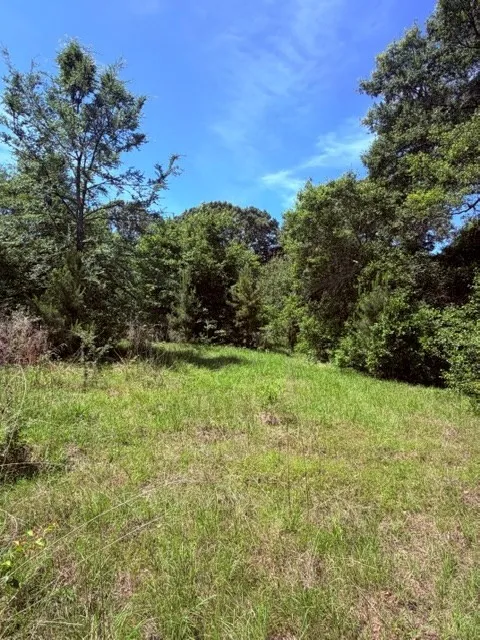 Unimproved Land For Sale in Henderson County , 00 County Road 3105, Chandler, Texas 75758, 0, 0, Garage spaces, 0 Sqft, built in 0, Price $289,000, mls#21261723, Real Estate Agent in Chandler, Homes For Sale in Henderson county, Homes For Sale in Chandler, Realtor in Chandler Texas, Real Estate Brokerage Independent Realty Texas, Luminita Cordes Realtor