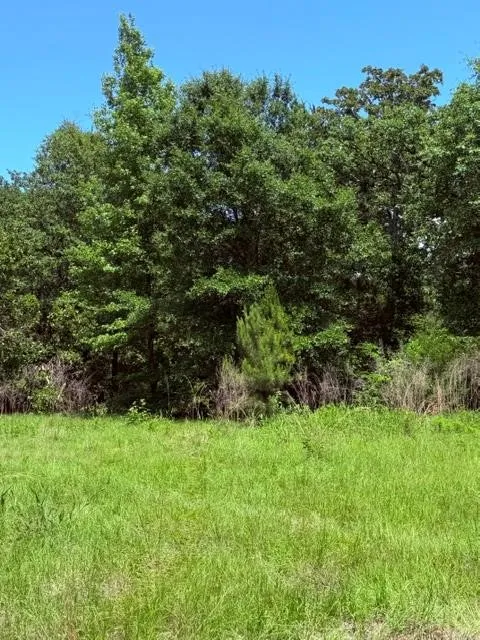 Unimproved Land For Sale in Henderson County , 00 County Road 3105, Chandler, Texas 75758, 0, 0, Garage spaces, 0 Sqft, built in 0, Price $289,000, mls#21261723, Real Estate Agent in Chandler, Homes For Sale in Henderson county, Homes For Sale in Chandler, Realtor in Chandler Texas, Real Estate Brokerage Independent Realty Texas, Luminita Cordes Realtor