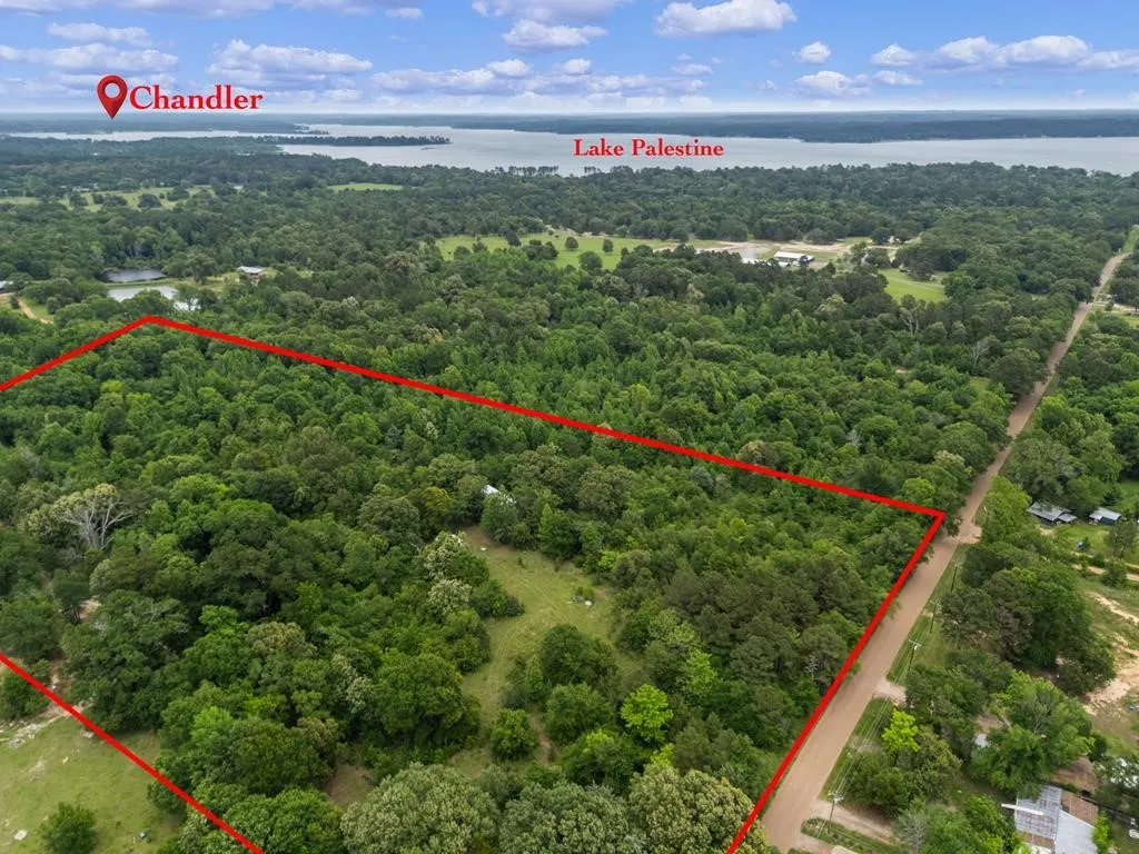 Unimproved Land For Sale in Henderson County , 00 County Road 3105, Chandler, Texas 75758, 0, 0, Garage spaces, 0 Sqft, built in 0, Price $289,000, mls#21261723, Real Estate Agent in Chandler, Homes For Sale in Henderson county, Homes For Sale in Chandler, Realtor in Chandler Texas, Real Estate Brokerage Independent Realty Texas, Luminita Cordes Realtor