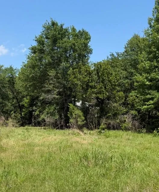 Unimproved Land For Sale in Henderson County , 00 County Road 3105, Chandler, Texas 75758, 0, 0, Garage spaces, 0 Sqft, built in 0, Price $289,000, mls#21261723, Real Estate Agent in Chandler, Homes For Sale in Henderson county, Homes For Sale in Chandler, Realtor in Chandler Texas, Real Estate Brokerage Independent Realty Texas, Luminita Cordes Realtor