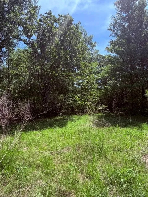 Unimproved Land For Sale in Henderson County , 00 County Road 3105, Chandler, Texas 75758, 0, 0, Garage spaces, 0 Sqft, built in 0, Price $289,000, mls#21261723, Real Estate Agent in Chandler, Homes For Sale in Henderson county, Homes For Sale in Chandler, Realtor in Chandler Texas, Real Estate Brokerage Independent Realty Texas, Luminita Cordes Realtor