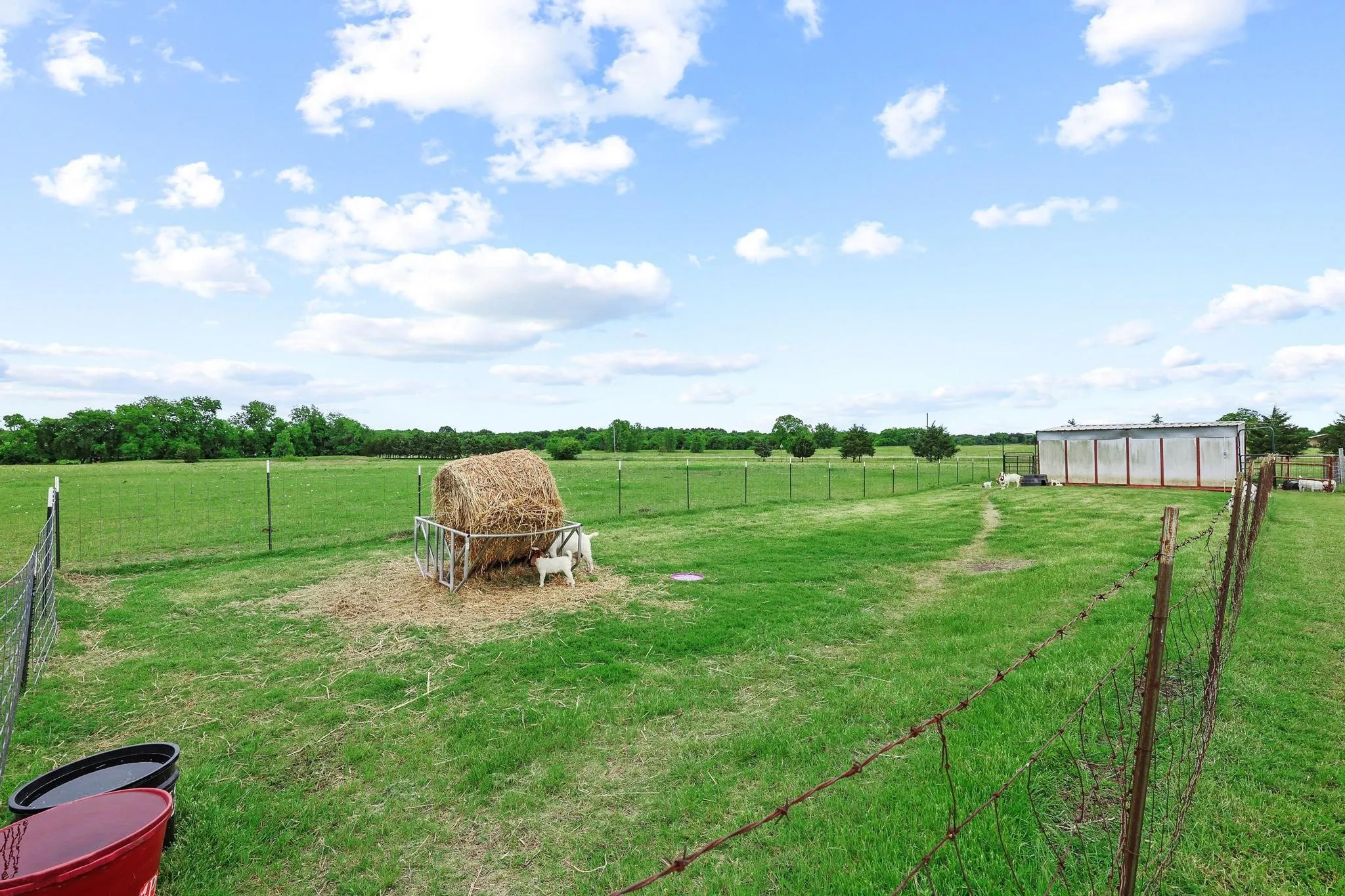 Single Family Residence For Sale in Fannin County , 1217 County Road 4705, Leonard, Texas 75452, 3 Bedroom, 2 Bathroom, Garage spaces, 2,370 Sqft, built in 1995, mls#21261189, Real Estate Agent in Leonard, Homes For Sale in Fannin county, Homes For Sale in Leonard, Realtor in Leonard Texas, Real Estate Brokerage Independent Realty Texas, Luminita Cordes Realtor