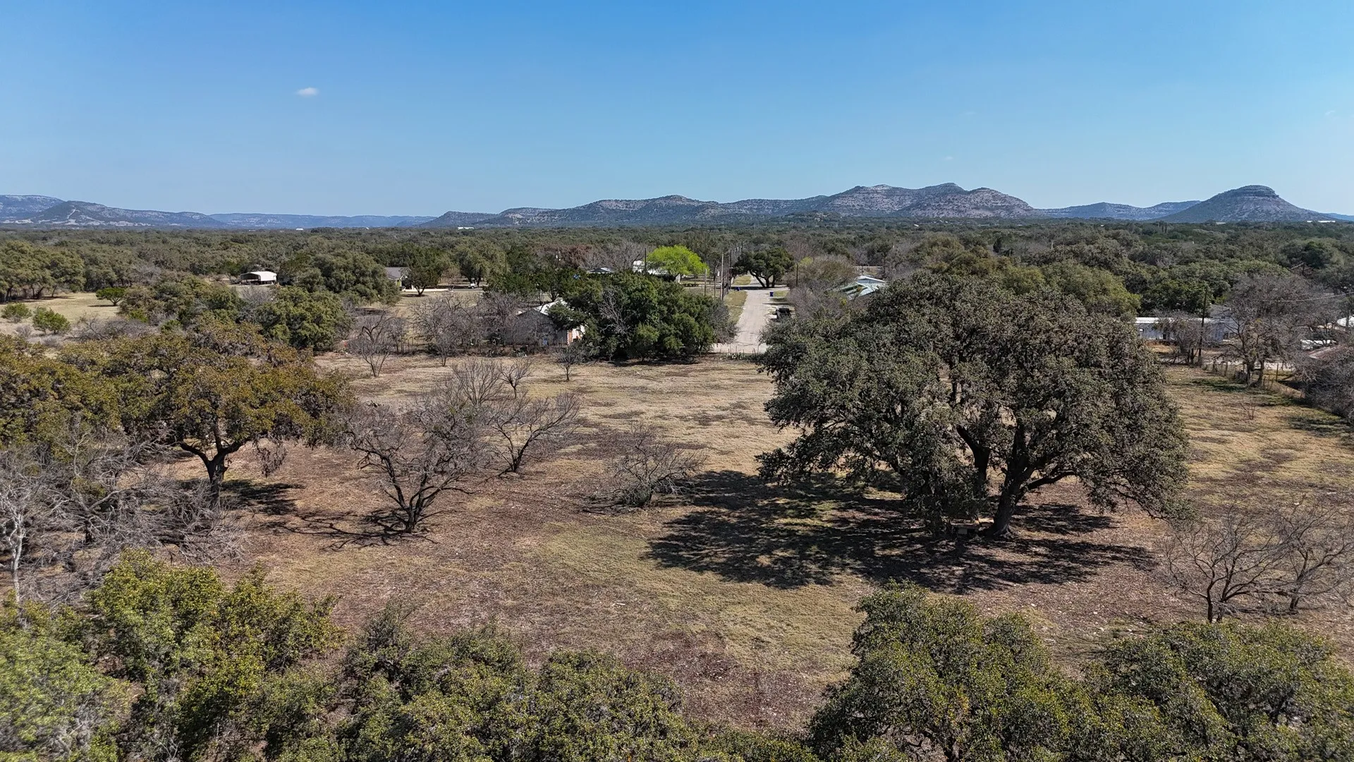 Expansive lot featuring a substantial mature tree with a broad canopy, natural grass areas, and varied tree coverage