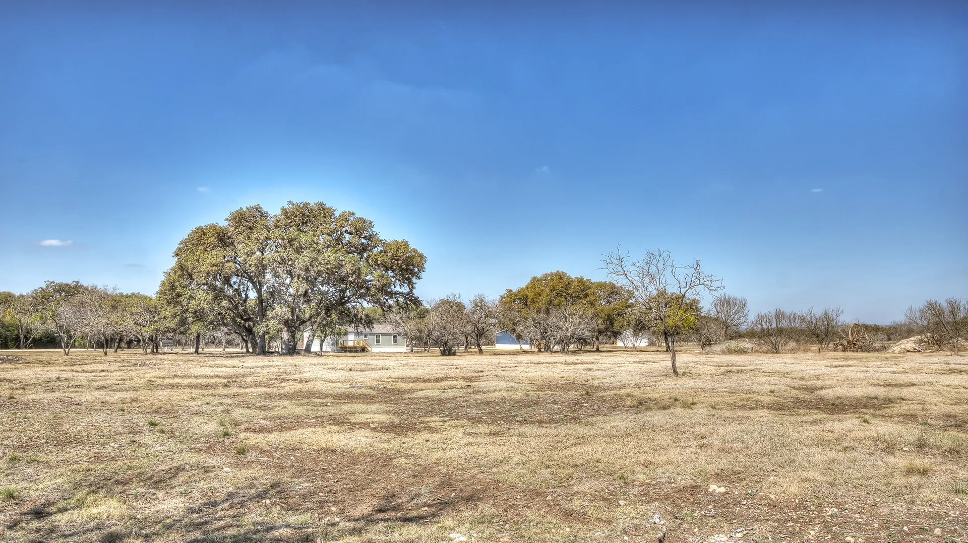 Expansive land parcel featuring mature trees, scattered natural vegetation, and a clear blue sky