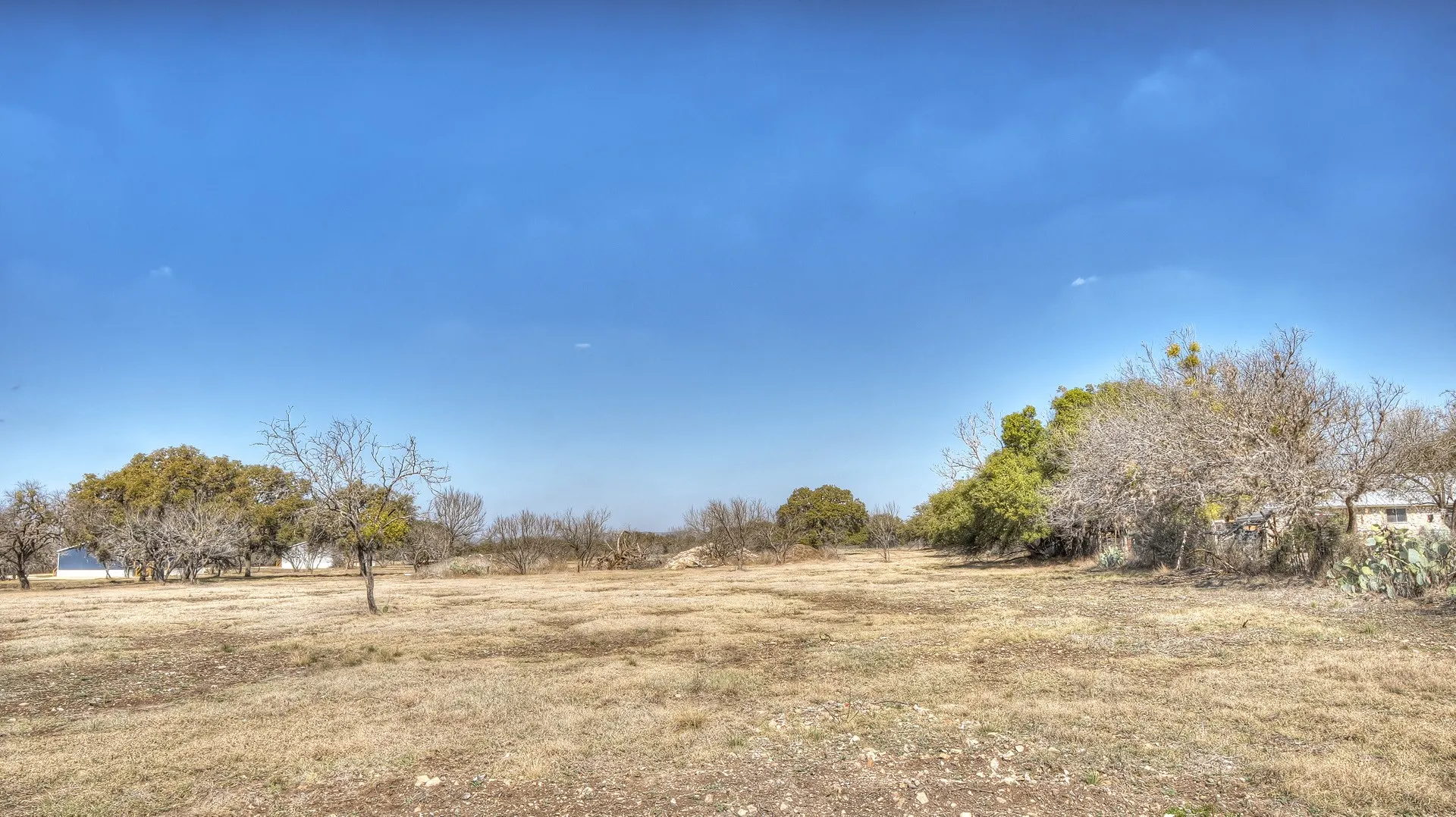 Expansive undeveloped land featuring mature trees and clear skies