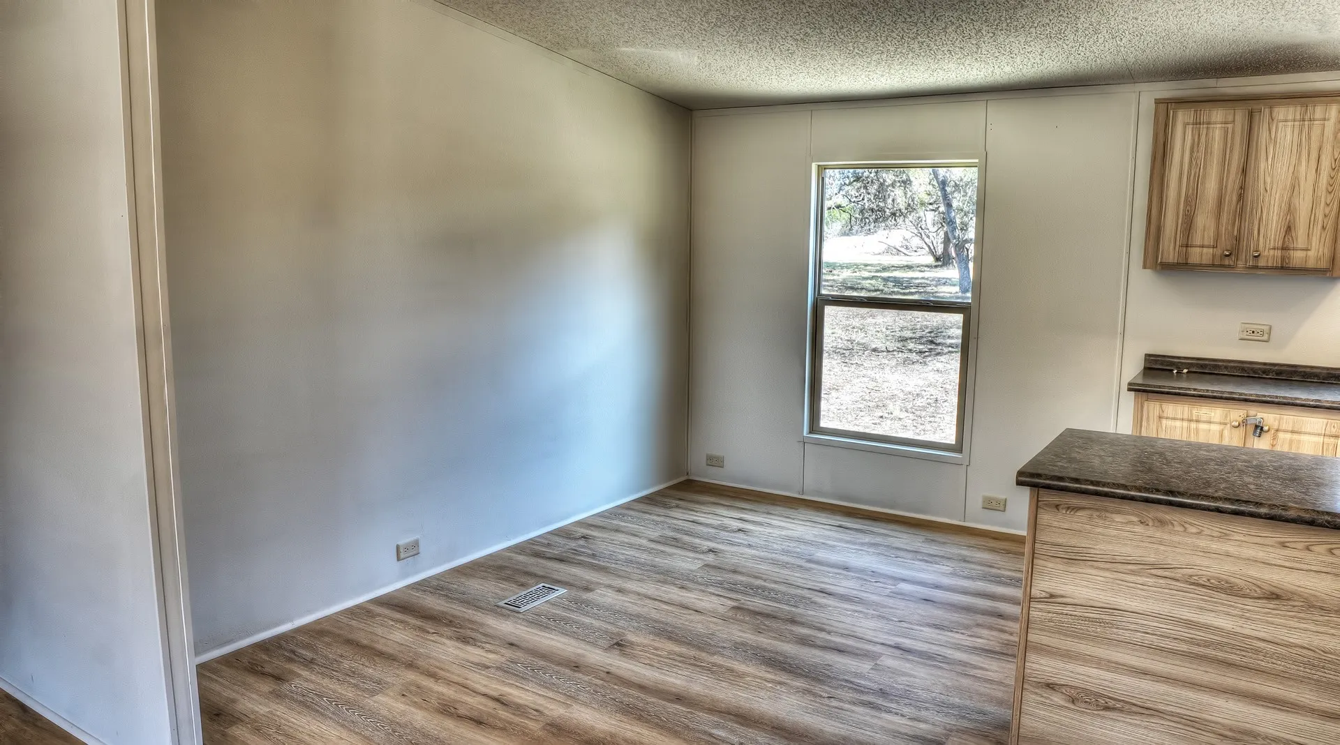 Open-concept area featuring wood-finish flooring, a double-hung window, and kitchen cabinetry with a countertop