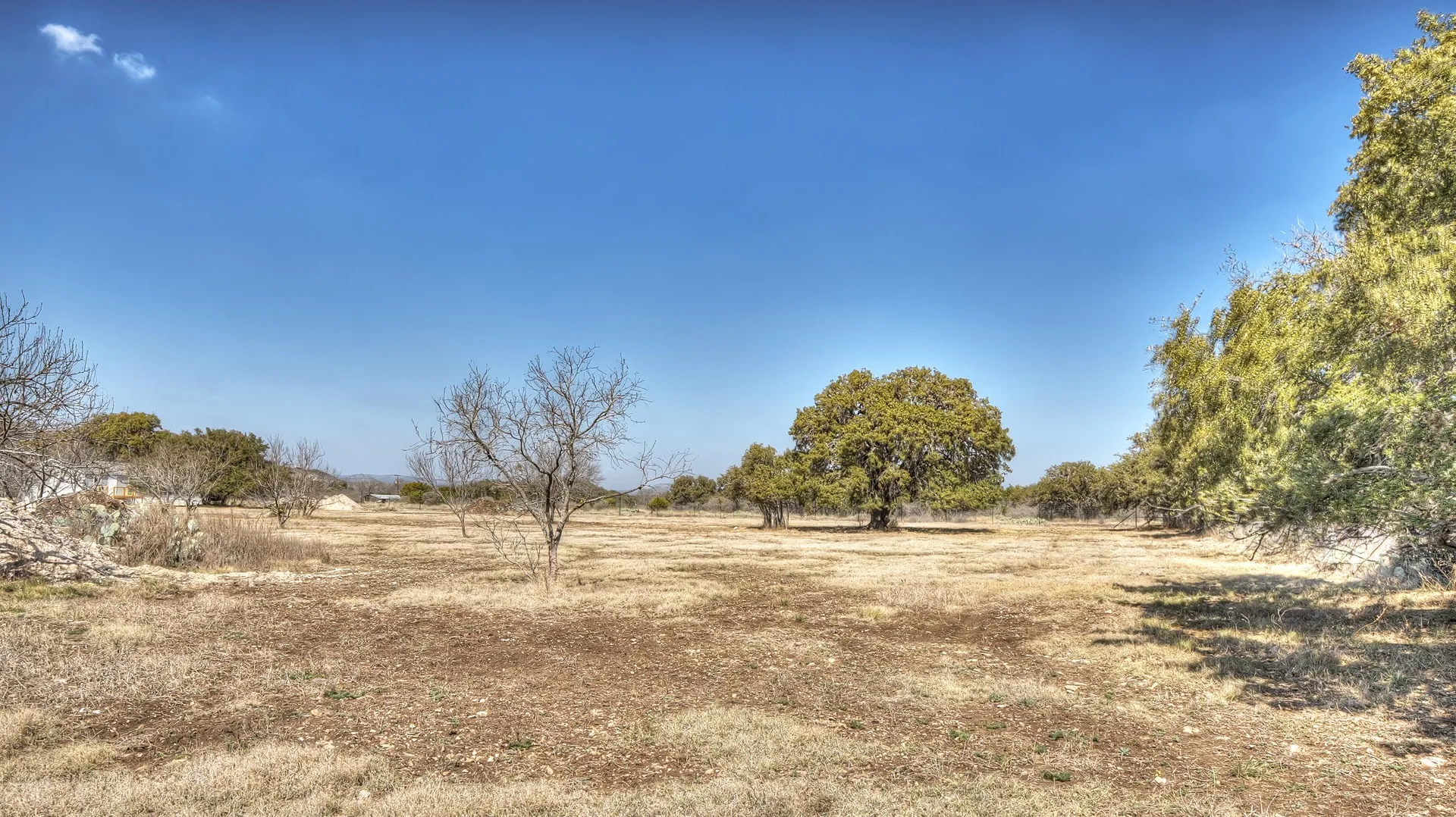 Expansive open land with scattered mature trees and natural vegetation under a clear sky