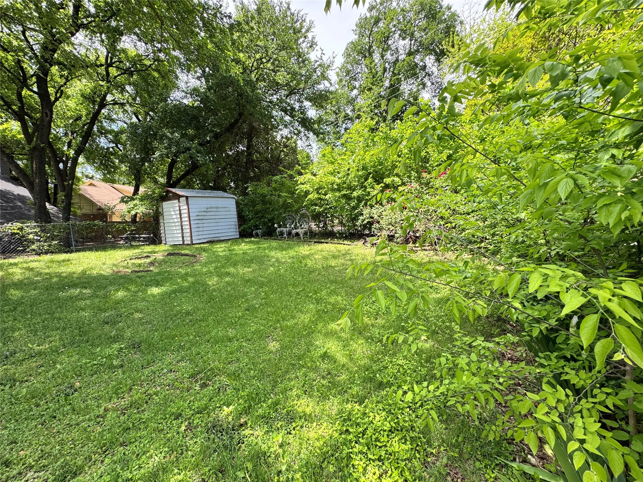 Expansive backyard featuring a green lawn, mature trees, a metal storage shed, and a chain-link fence
