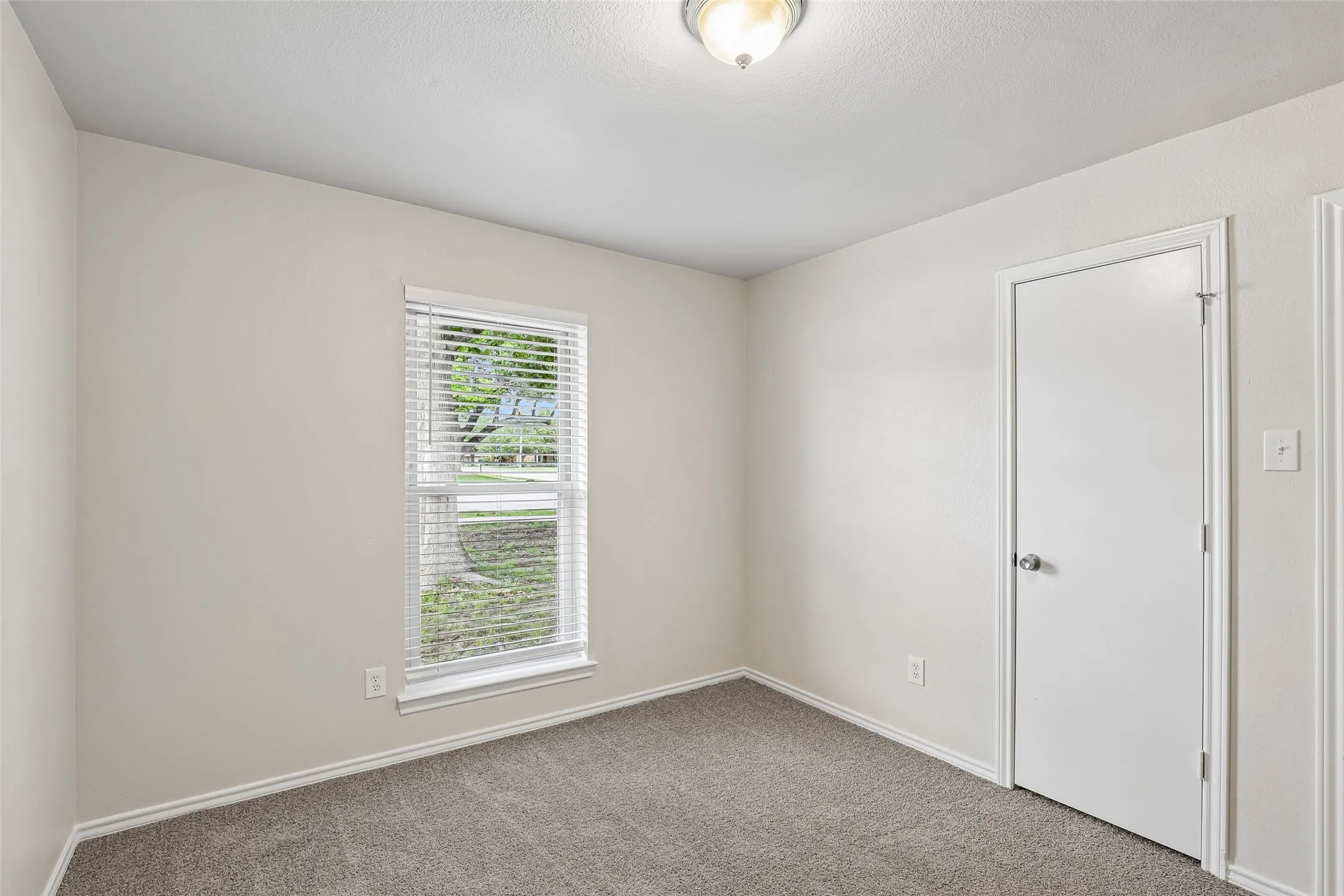 Neutral-toned walls complement the gray carpeting