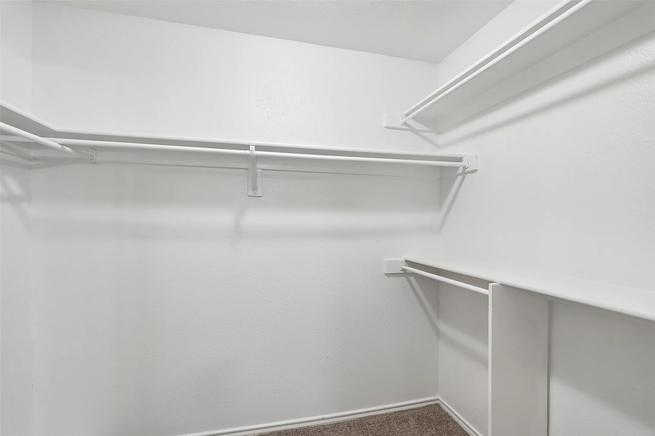 Walk-in closet featuring white wire shelving, hanging rods, and neutral-toned carpet flooring