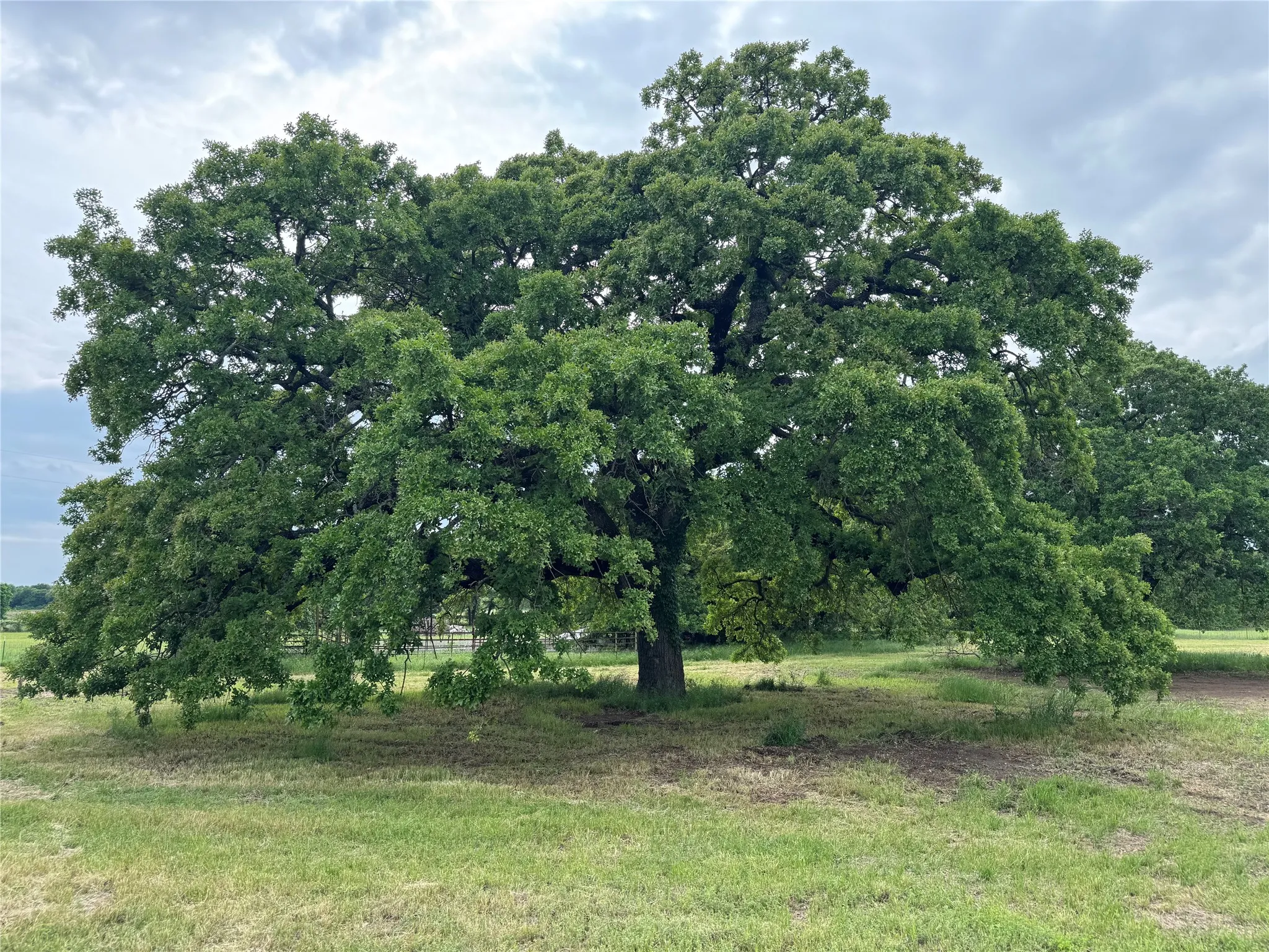 Unimproved Land For Sale in Hood County , 4532 Waples Road, Granbury, Texas 76049, 0, 0, Garage spaces, 0 Sqft, built in 0, mls#21265175, Real Estate Agent in Granbury, Homes For Sale in Hood county, Homes For Sale in Granbury, Realtor in Granbury Texas, Real Estate Brokerage Independent Realty Texas, Luminita Cordes Realtor