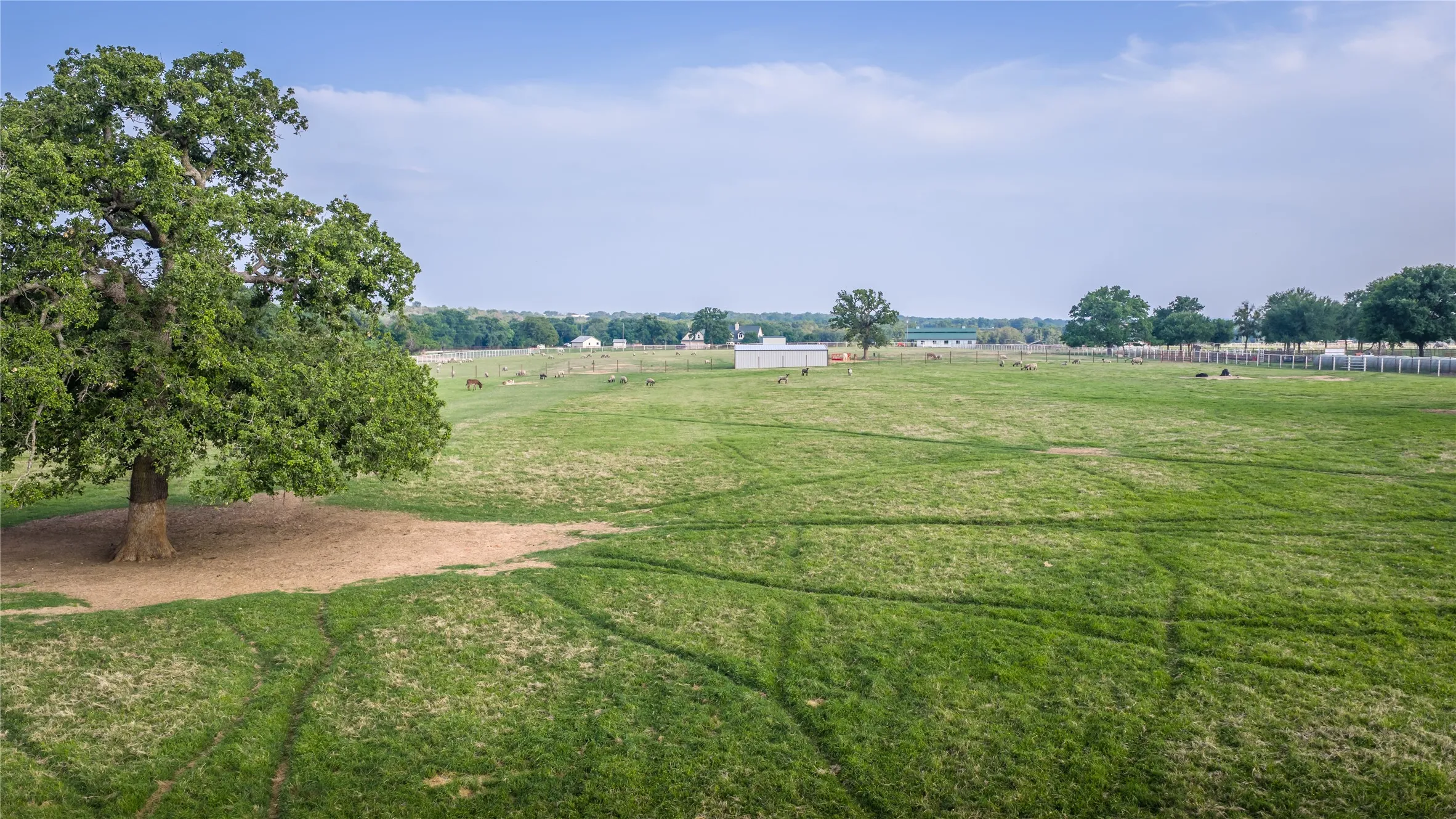 Farm For Sale in Erath County , 24183 S US 281, Hico, Texas 76457, 4 Bedroom, 3 Bathroom, Garage spaces, 2,160 Sqft, built in 1999, mls#21265000, Real Estate Agent in Hico, Homes For Sale in Erath county, Homes For Sale in Hico, Realtor in Hico Texas, Real Estate Brokerage Independent Realty Texas, Luminita Cordes Realtor