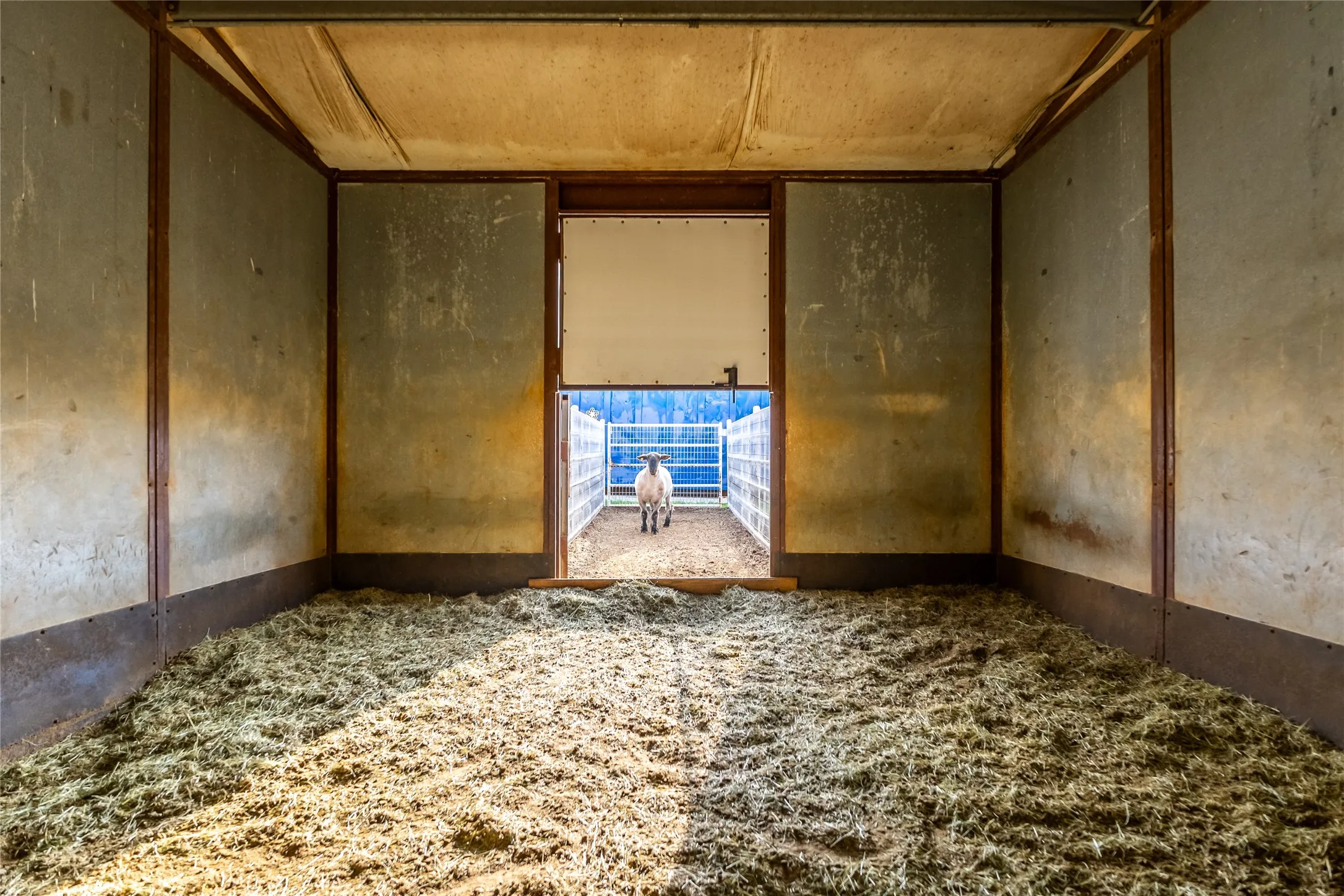 Farm For Sale in Erath County , 24183 S US 281, Hico, Texas 76457, 4 Bedroom, 3 Bathroom, Garage spaces, 2,160 Sqft, built in 1999, mls#21265000, Real Estate Agent in Hico, Homes For Sale in Erath county, Homes For Sale in Hico, Realtor in Hico Texas, Real Estate Brokerage Independent Realty Texas, Luminita Cordes Realtor