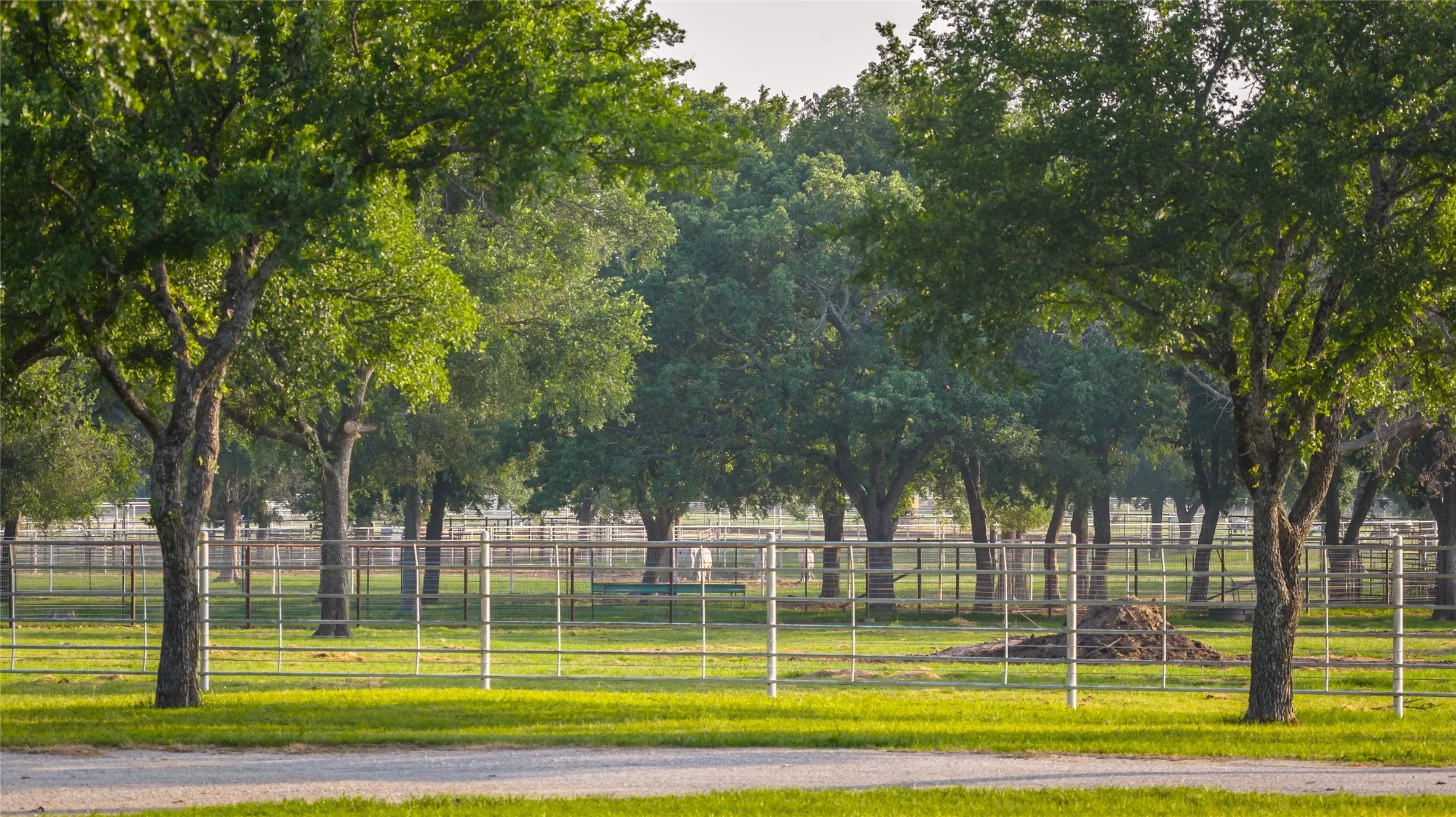 Farm For Sale in Erath County , 24183 S US 281, Hico, Texas 76457, 4 Bedroom, 3 Bathroom, Garage spaces, 2,160 Sqft, built in 1999, mls#21265000, Real Estate Agent in Hico, Homes For Sale in Erath county, Homes For Sale in Hico, Realtor in Hico Texas, Real Estate Brokerage Independent Realty Texas, Luminita Cordes Realtor