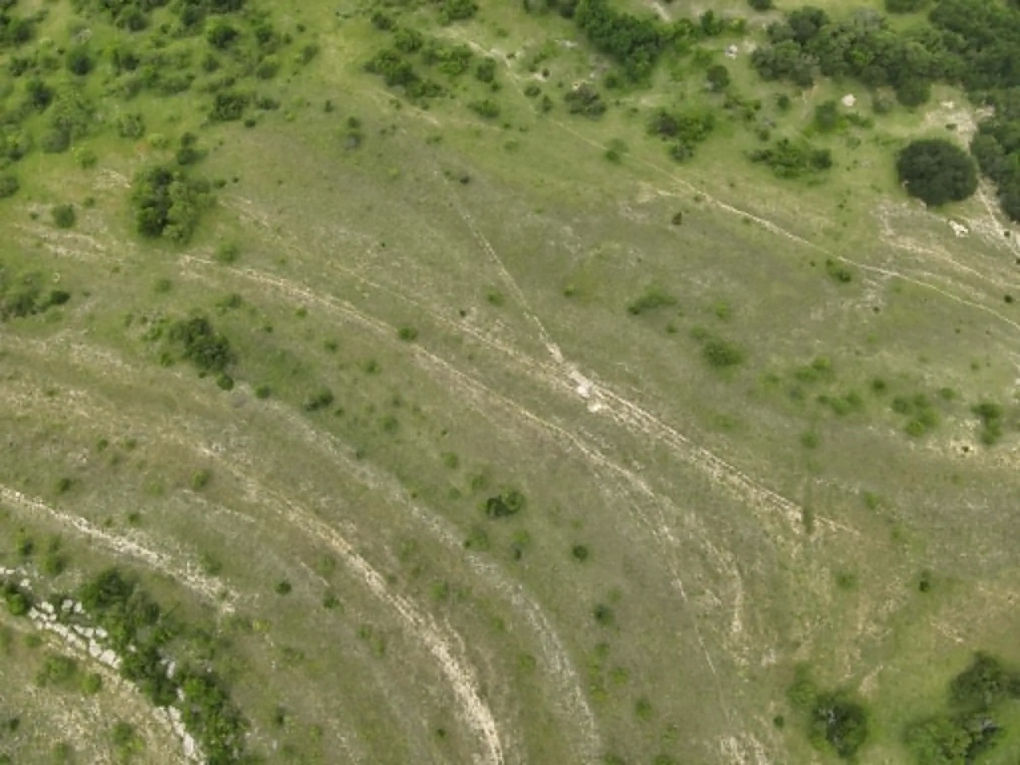Unimproved Land For Sale in Comanche County , 5110 FM 1702, Gustine, Texas 76455, 0, 0, Garage spaces, 0 Sqft, built in 0, mls#21264862, Real Estate Agent in Gustine, Homes For Sale in Comanche county, Homes For Sale in Gustine, Realtor in Gustine Texas, Real Estate Brokerage Independent Realty Texas, Luminita Cordes Realtor