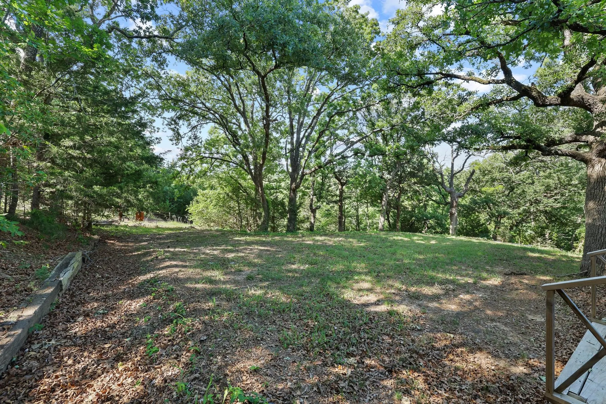 Expansive grassy clearing surrounded by a dense tree line, featuring mature trees and partial sunlight