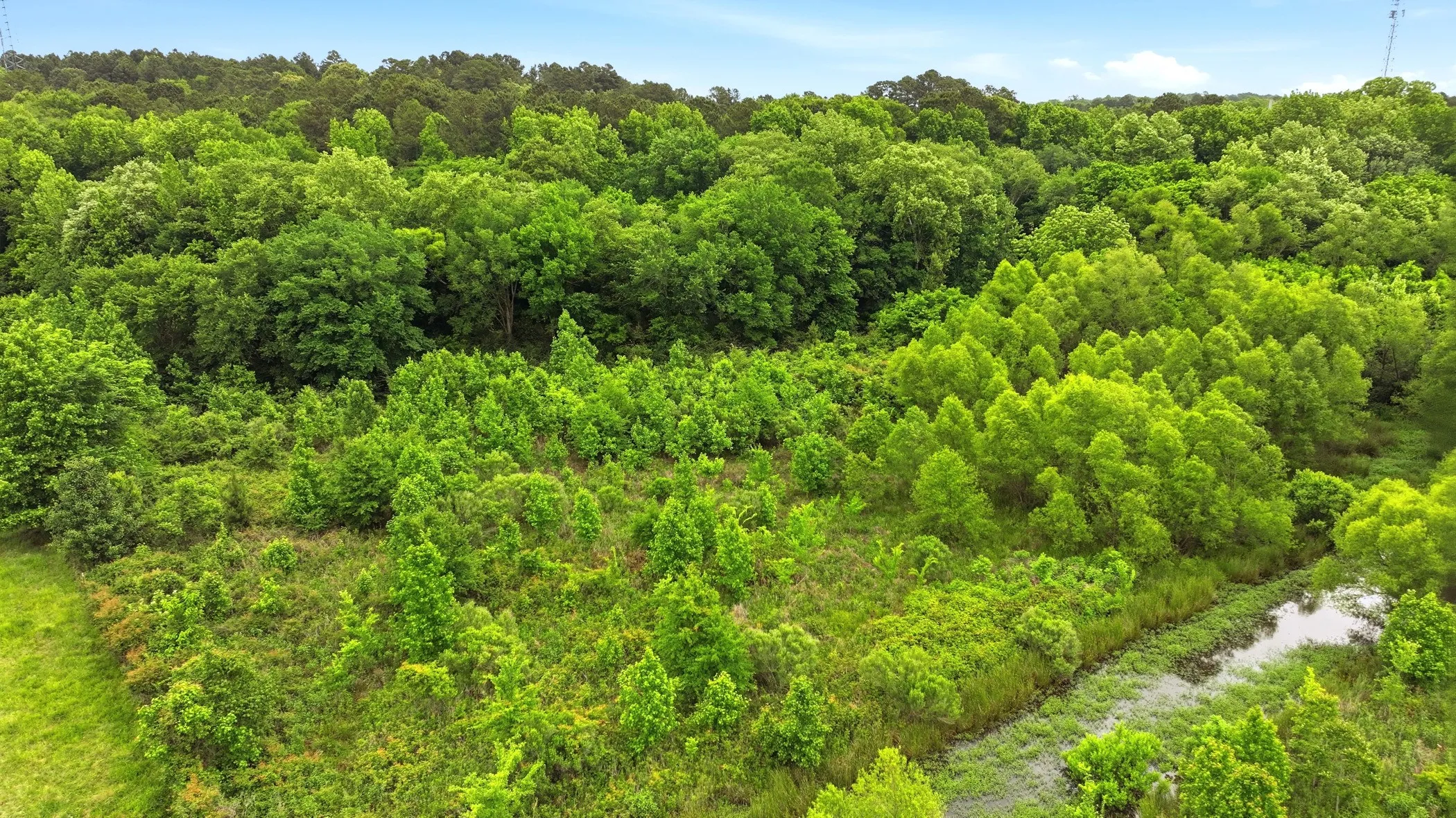 Unimproved Land For Sale in Smith County , 1475 CR 137, Flint, Texas 75762, 0, 0, Garage spaces, 0 Sqft, built in 0, Price $334,900, mls#21265270, Real Estate Agent in Flint, Homes For Sale in Smith county, Homes For Sale in Flint, Realtor in Flint Texas, Real Estate Brokerage Independent Realty Texas, Luminita Cordes Realtor