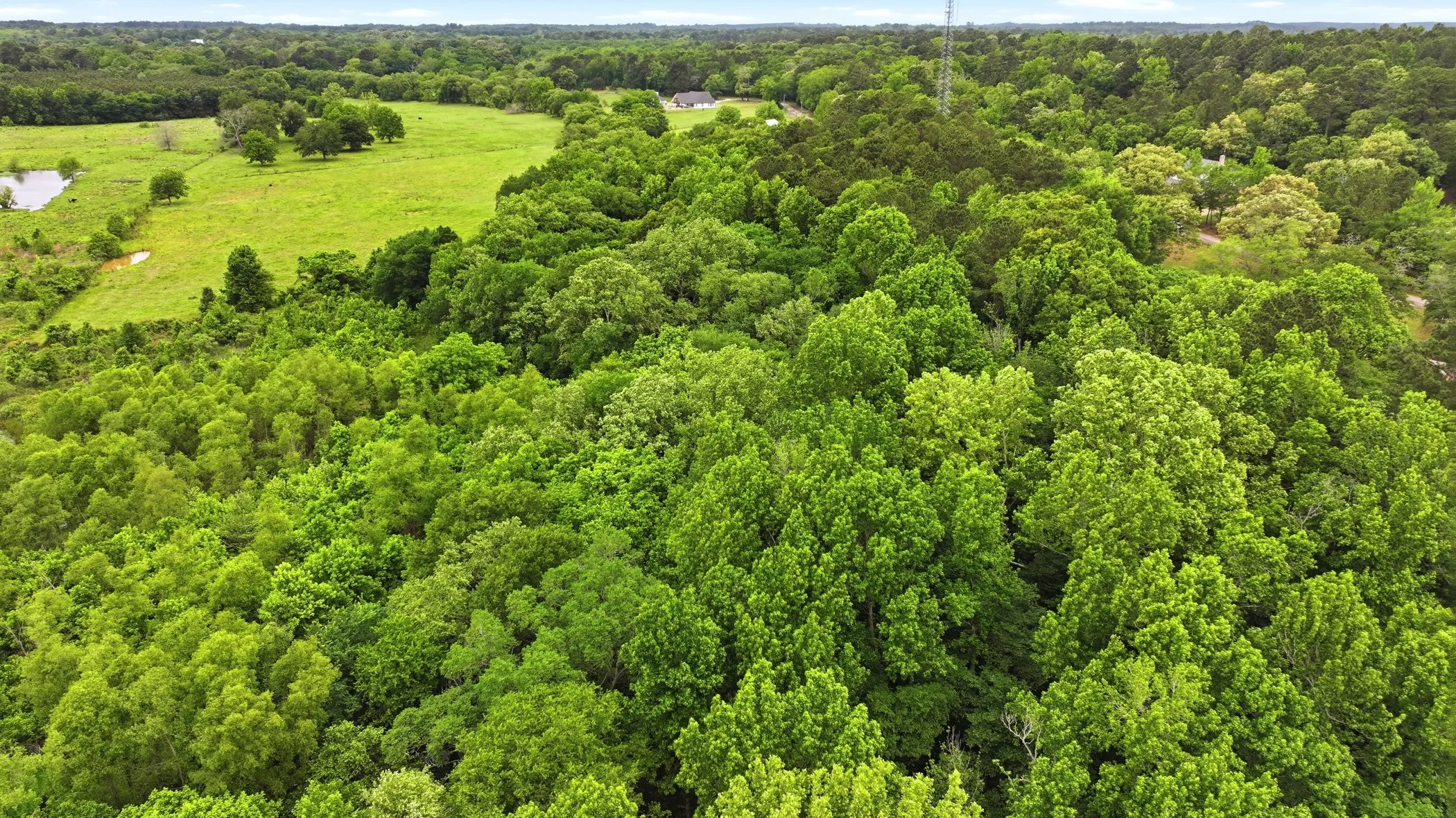 Unimproved Land For Sale in Smith County , 1475 CR 137, Flint, Texas 75762, 0, 0, Garage spaces, 0 Sqft, built in 0, Price $334,900, mls#21265270, Real Estate Agent in Flint, Homes For Sale in Smith county, Homes For Sale in Flint, Realtor in Flint Texas, Real Estate Brokerage Independent Realty Texas, Luminita Cordes Realtor