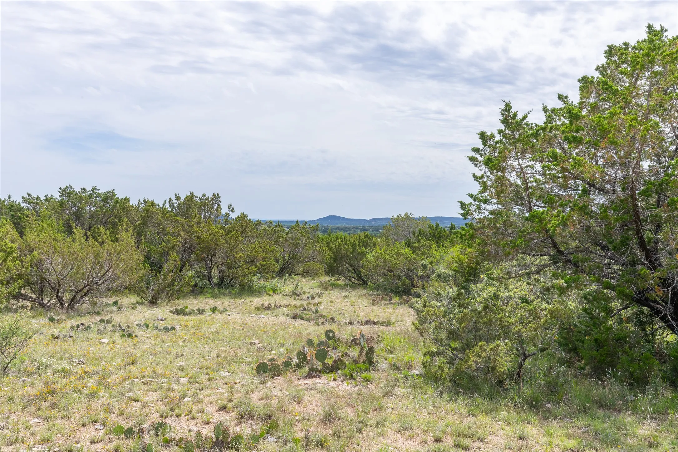 Ranch For Sale in Taylor County , TBD 90 Cr 220, Wingate, Texas 79566, 0, 0, Garage spaces, 0 Sqft, built in 0, Price $750,500, mls#21265302, Real Estate Agent in Wingate, Homes For Sale in Taylor county, Homes For Sale in Wingate, Realtor in Wingate Texas, Real Estate Brokerage Independent Realty Texas, Luminita Cordes Realtor