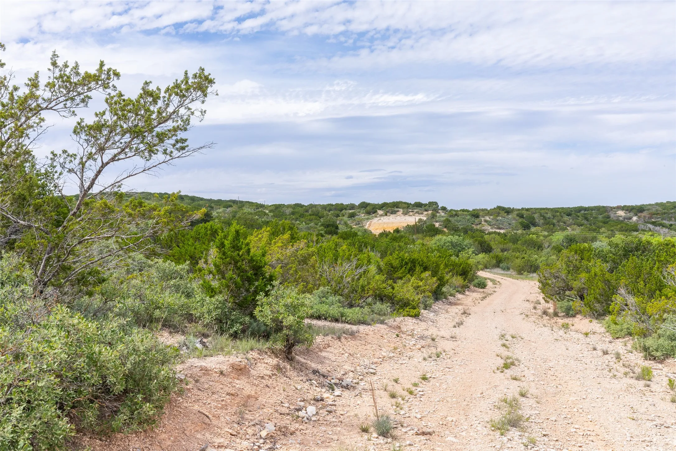 Ranch For Sale in Taylor County , TBD 90 Cr 220, Wingate, Texas 79566, 0, 0, Garage spaces, 0 Sqft, built in 0, Price $750,500, mls#21265302, Real Estate Agent in Wingate, Homes For Sale in Taylor county, Homes For Sale in Wingate, Realtor in Wingate Texas, Real Estate Brokerage Independent Realty Texas, Luminita Cordes Realtor