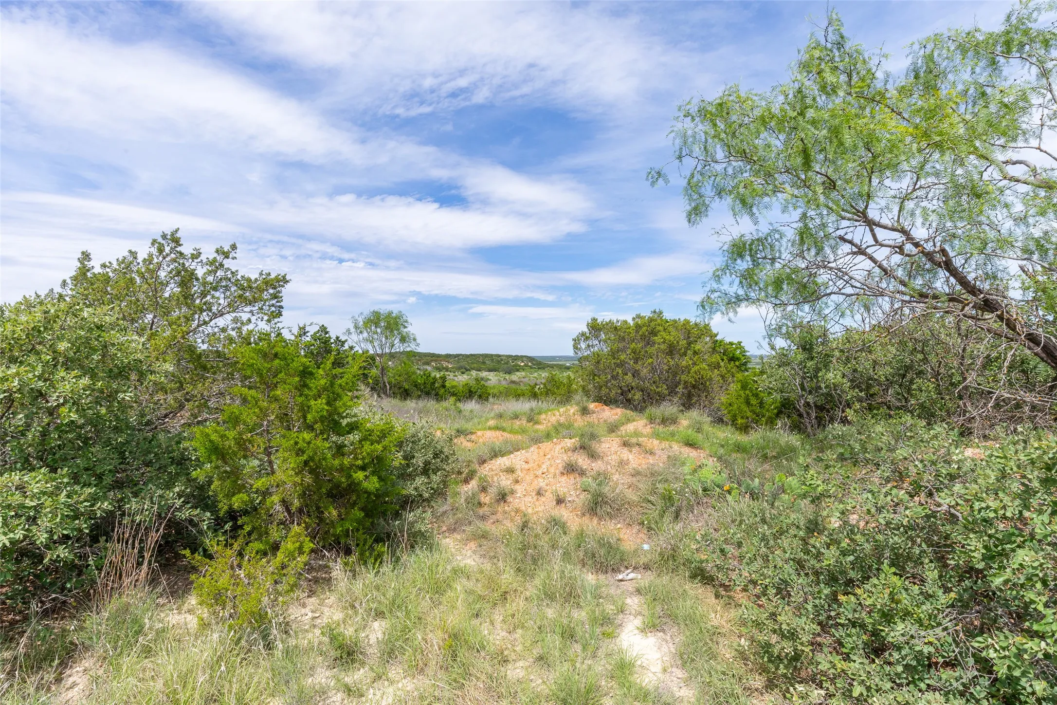 Ranch For Sale in Taylor County , TBD 90 Cr 220, Wingate, Texas 79566, 0, 0, Garage spaces, 0 Sqft, built in 0, Price $750,500, mls#21265302, Real Estate Agent in Wingate, Homes For Sale in Taylor county, Homes For Sale in Wingate, Realtor in Wingate Texas, Real Estate Brokerage Independent Realty Texas, Luminita Cordes Realtor