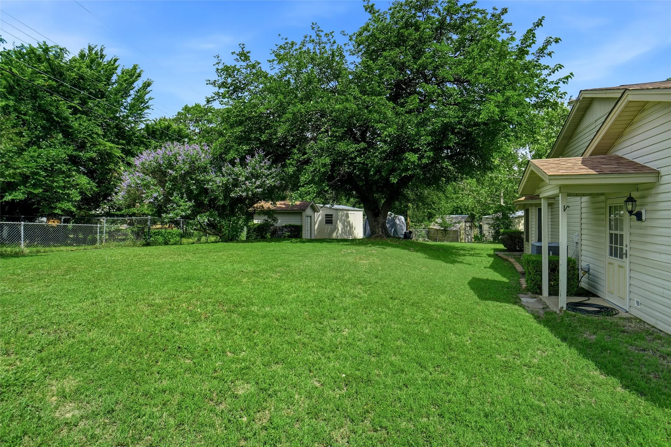 Spacious backyard featuring a large green lawn, mature trees, a chain-link fence, and a storage shed