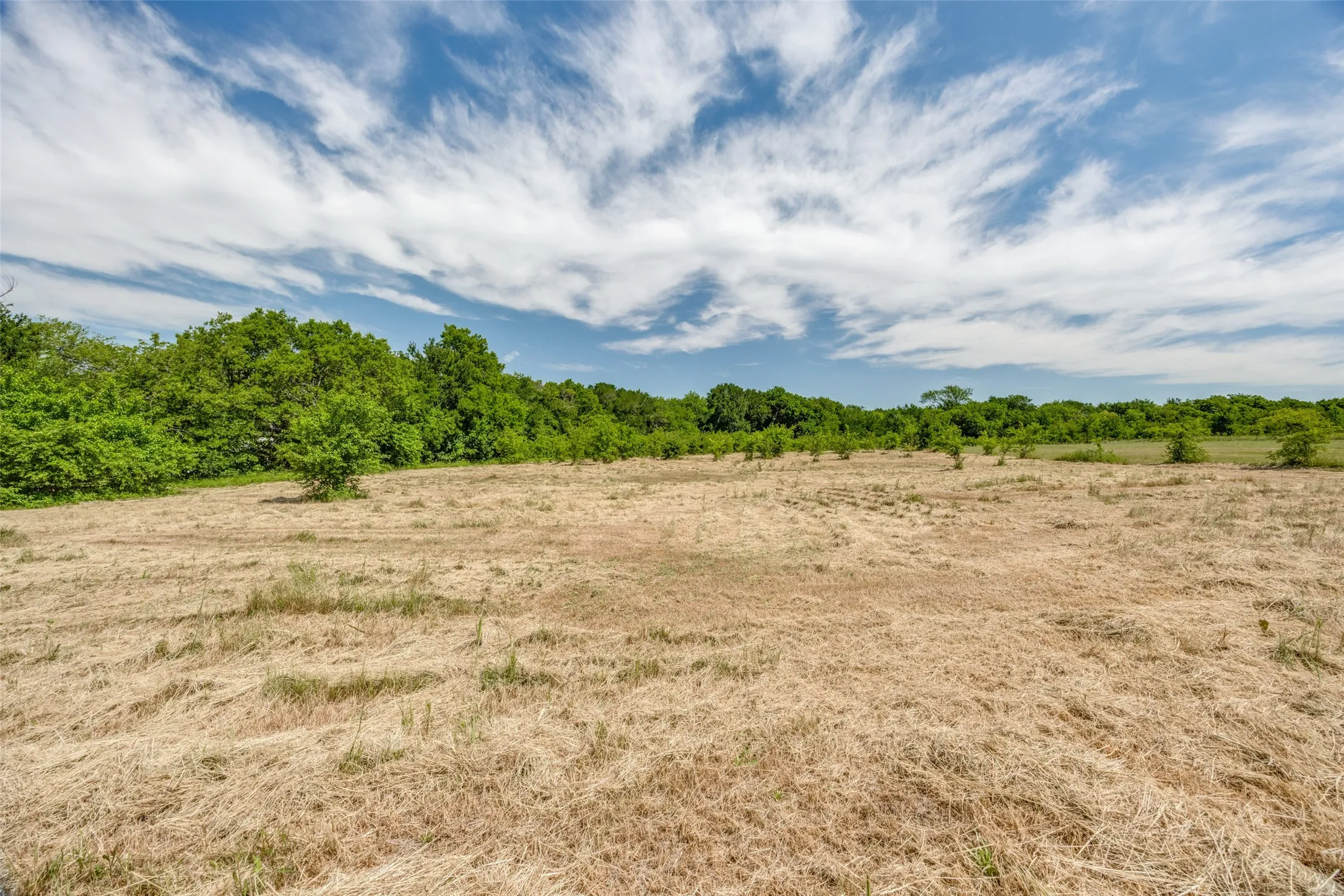 And here's your backyard with plenty of room to garden, put in a pool, play, or dare we say it....BUILD YOUR DREAM HOME while living in the home currently on the property.