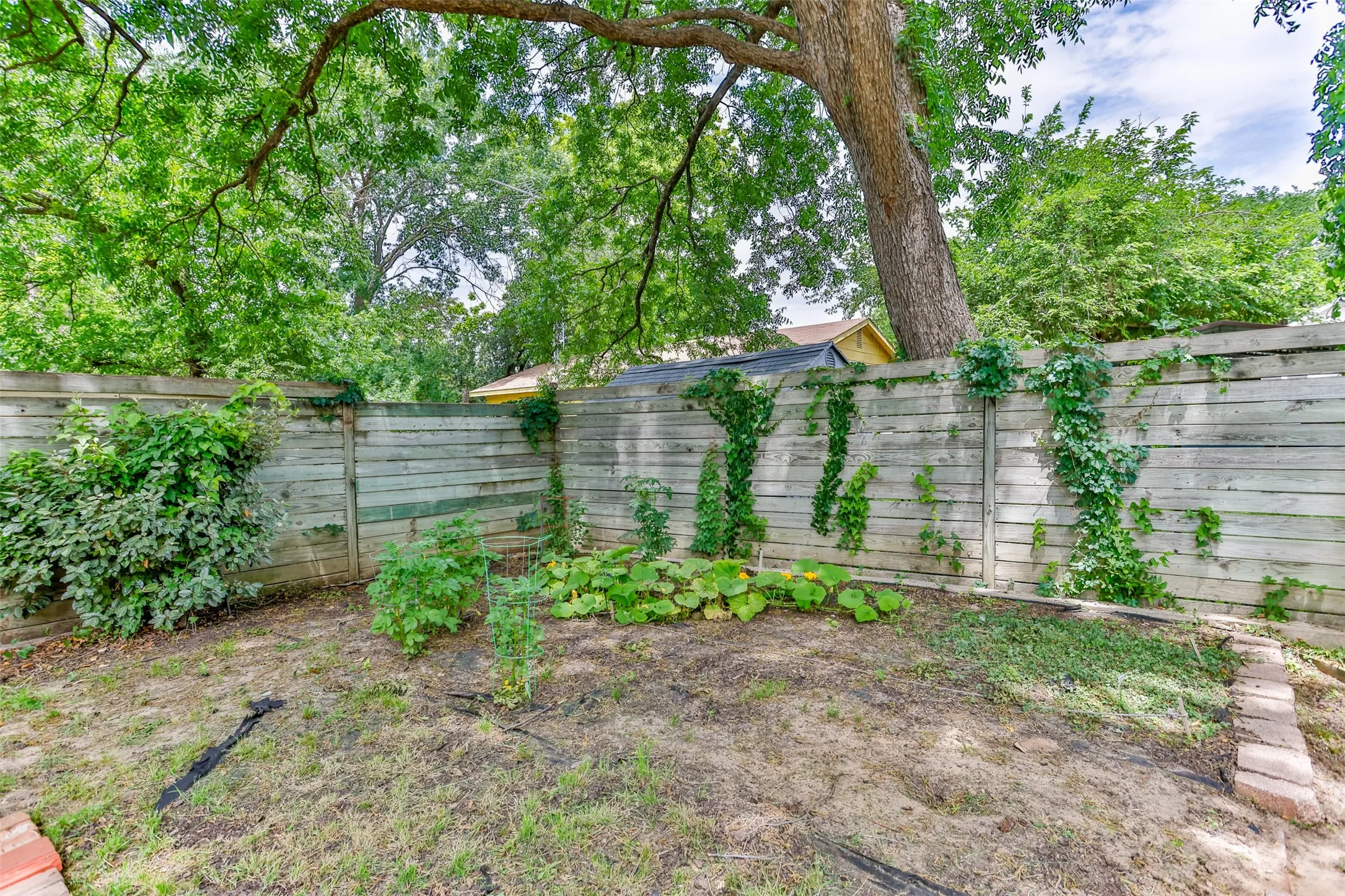 Single Family Residence For Sale in Cooke County , 215 E Tennie Street, Gainesville, Texas 76240, 3 Bedroom, 2 Bathroom, Garage spaces, 1,478 Sqft, built in 1969, mls#21265410, Real Estate Agent in Gainesville, Homes For Sale in Cooke county, Homes For Sale in Gainesville, Realtor in Gainesville Texas, Real Estate Brokerage Independent Realty Texas, Luminita Cordes Realtor