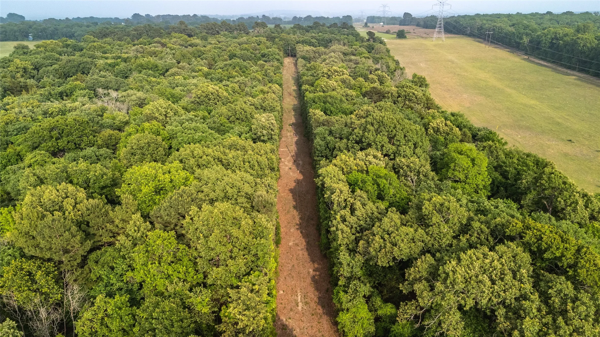 Expansive wooded acreage featuring a cleared path, bordering an open field