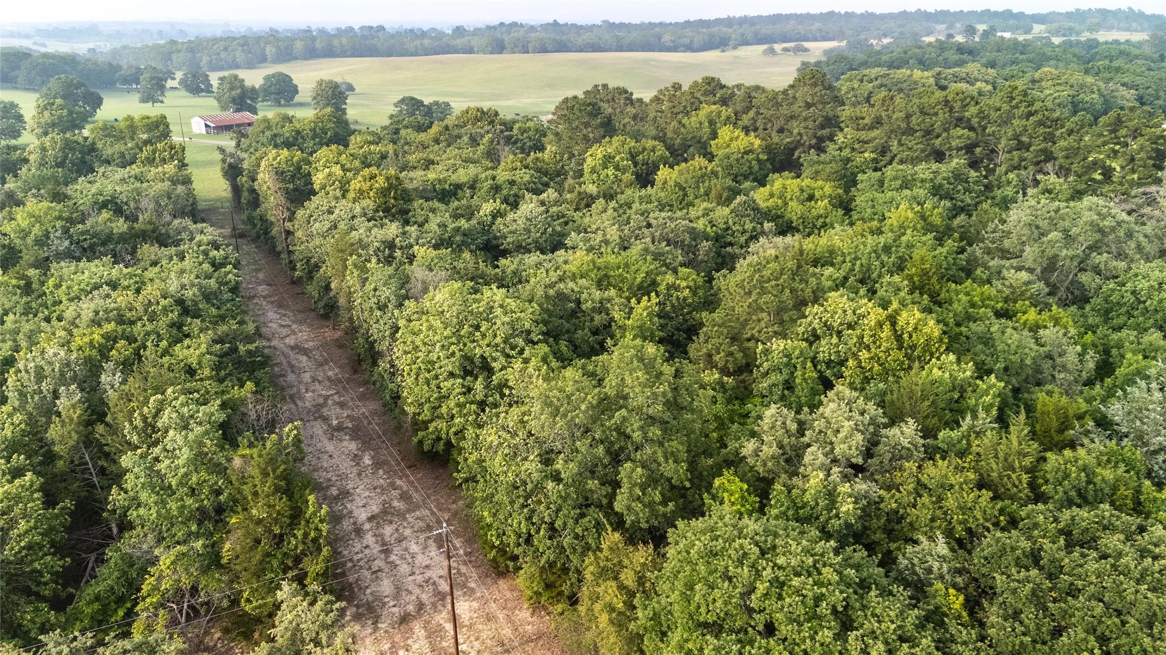 Expansive wooded acreage featuring mature trees, a cleared path, and a distant field with a red-roofed structure