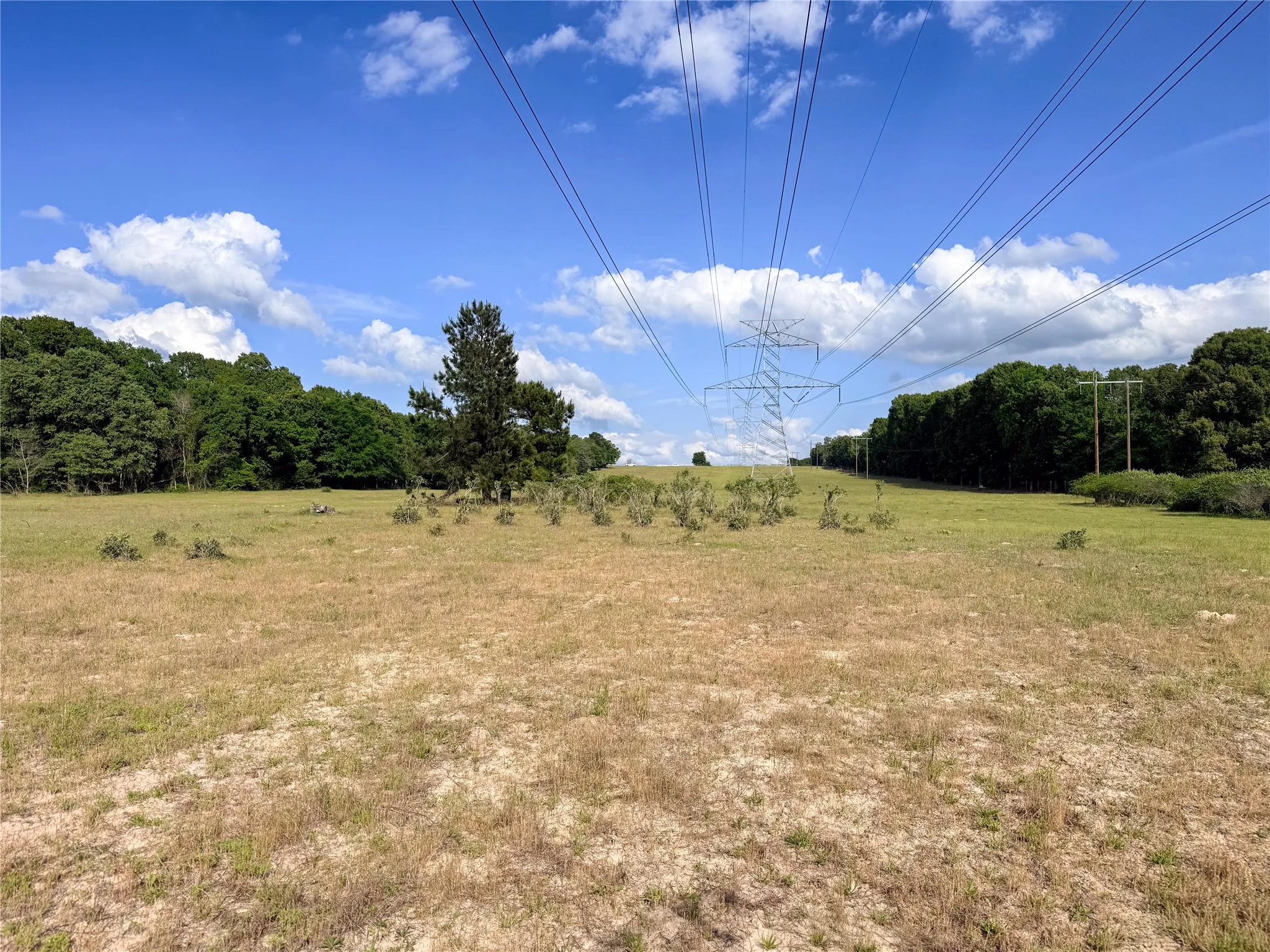 Expansive open field with natural foliage and a clear sky overhead