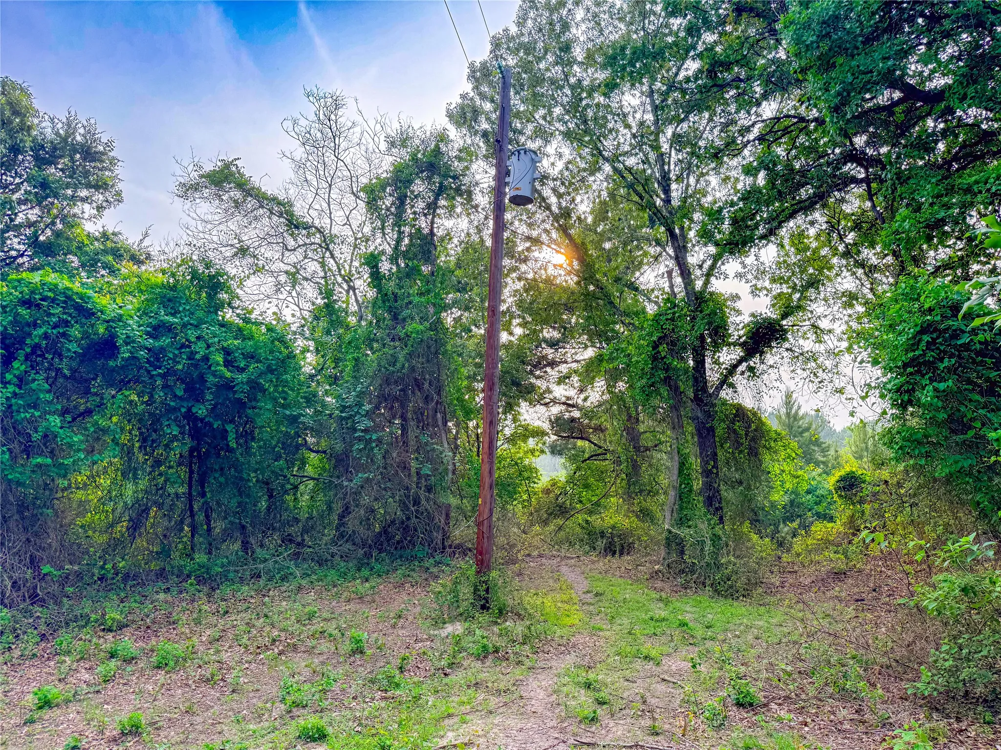 Unimproved Land For Sale in Henderson County , 000 County Road 4520, Larue, Texas 75770, 0, 0, Garage spaces, 0 Sqft, built in 0, Price $396,000, mls#21265449, Real Estate Agent in Larue, Homes For Sale in Henderson county, Homes For Sale in Larue, Realtor in Larue Texas, Real Estate Brokerage Independent Realty Texas, Luminita Cordes Realtor