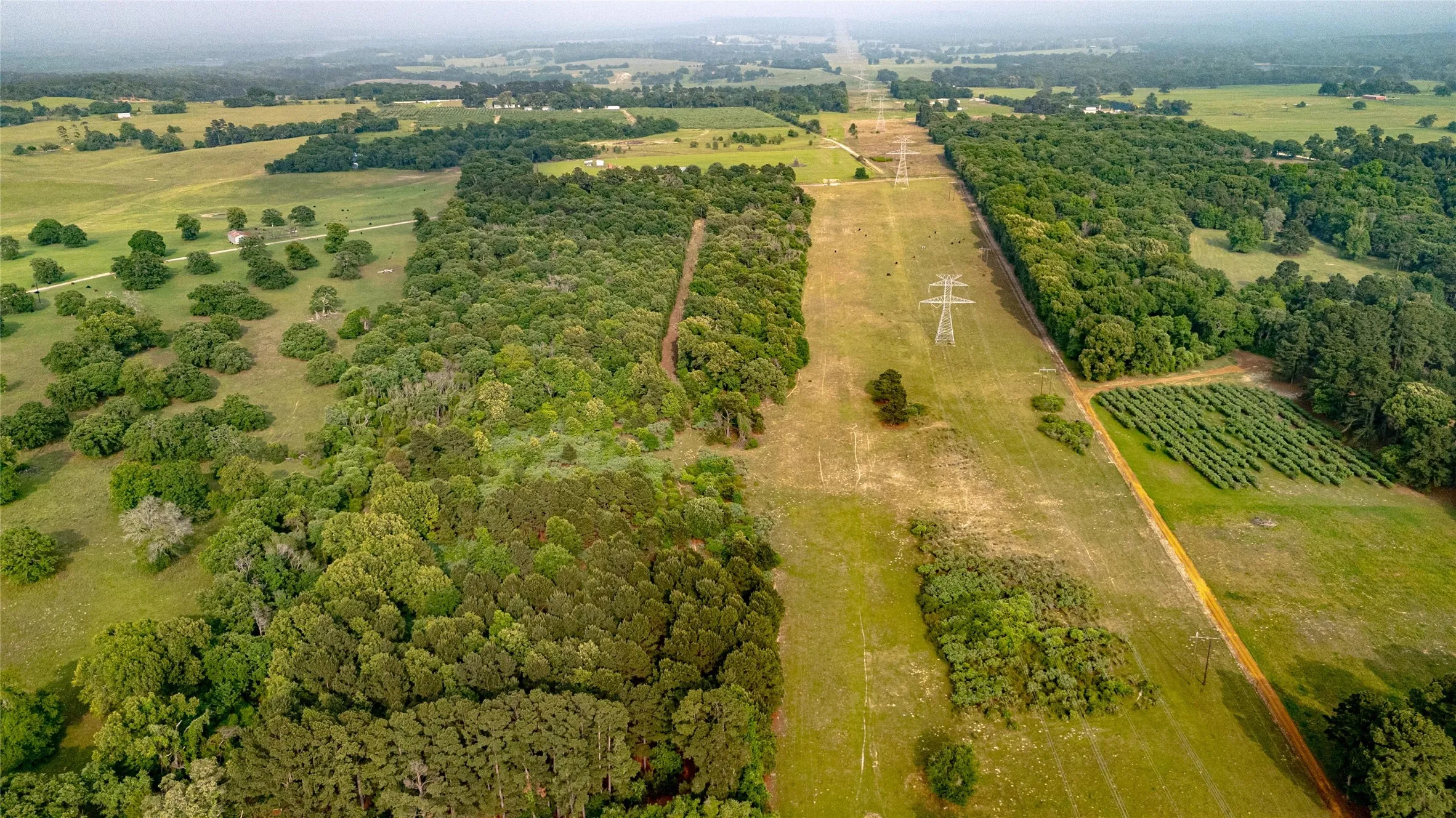 Expansive land parcel featuring diverse tree coverage, open fields, and agricultural plantings